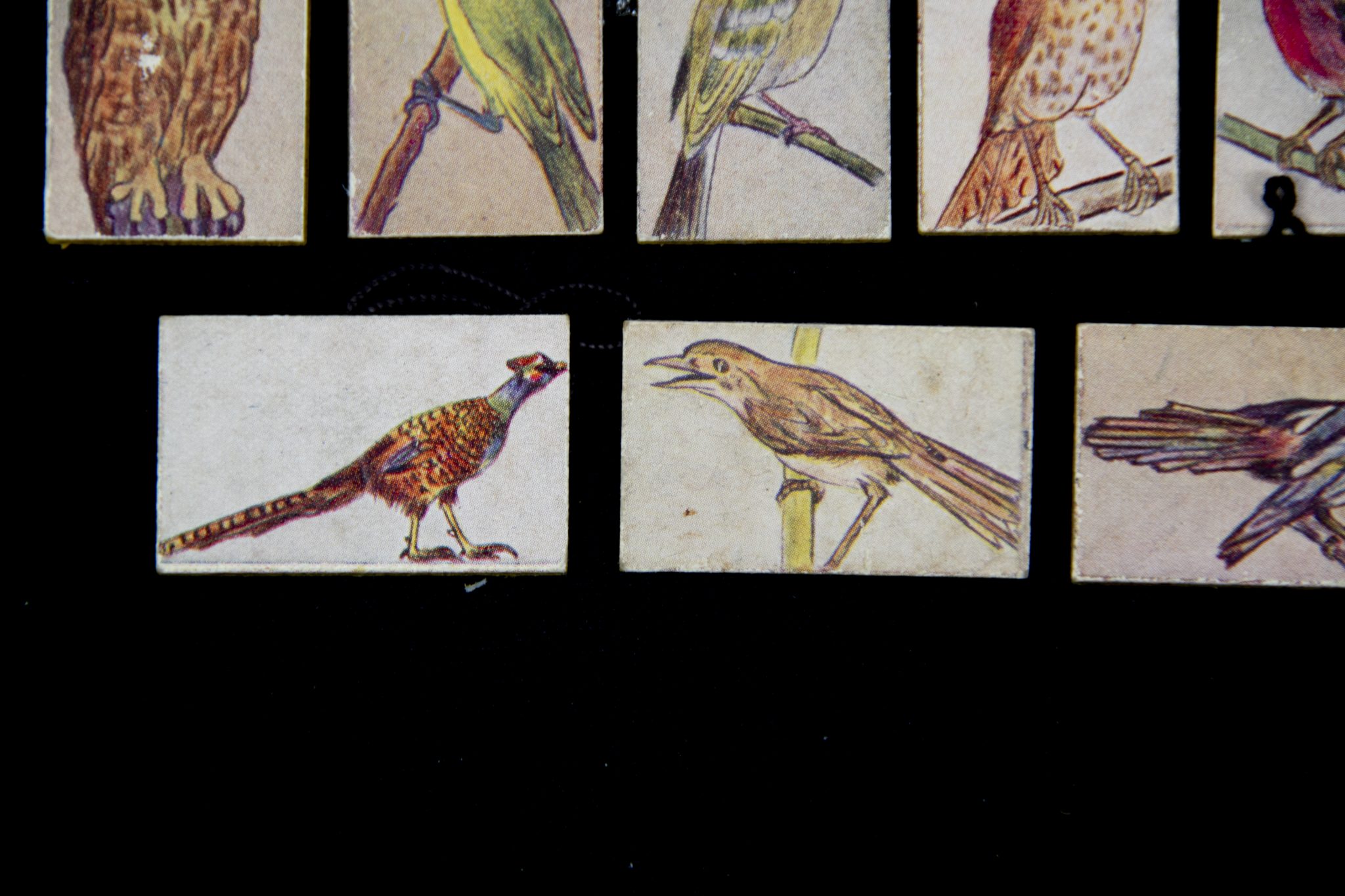 Winterhulp Nederland (WHN) – Vogels (1943)