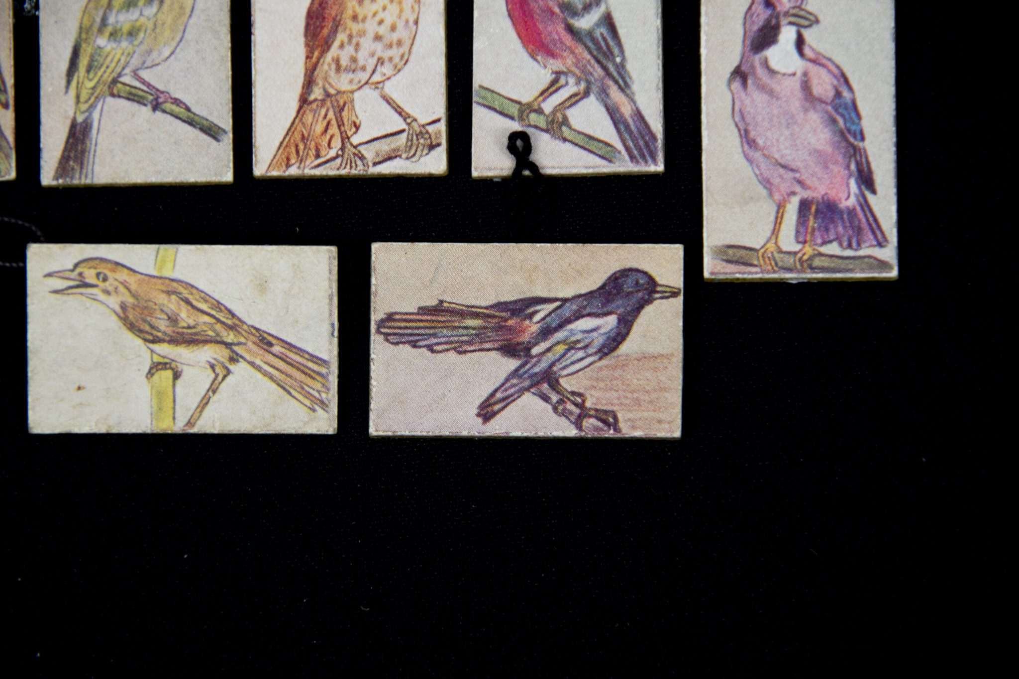 Winterhulp Nederland (WHN) – Vogels (1943)