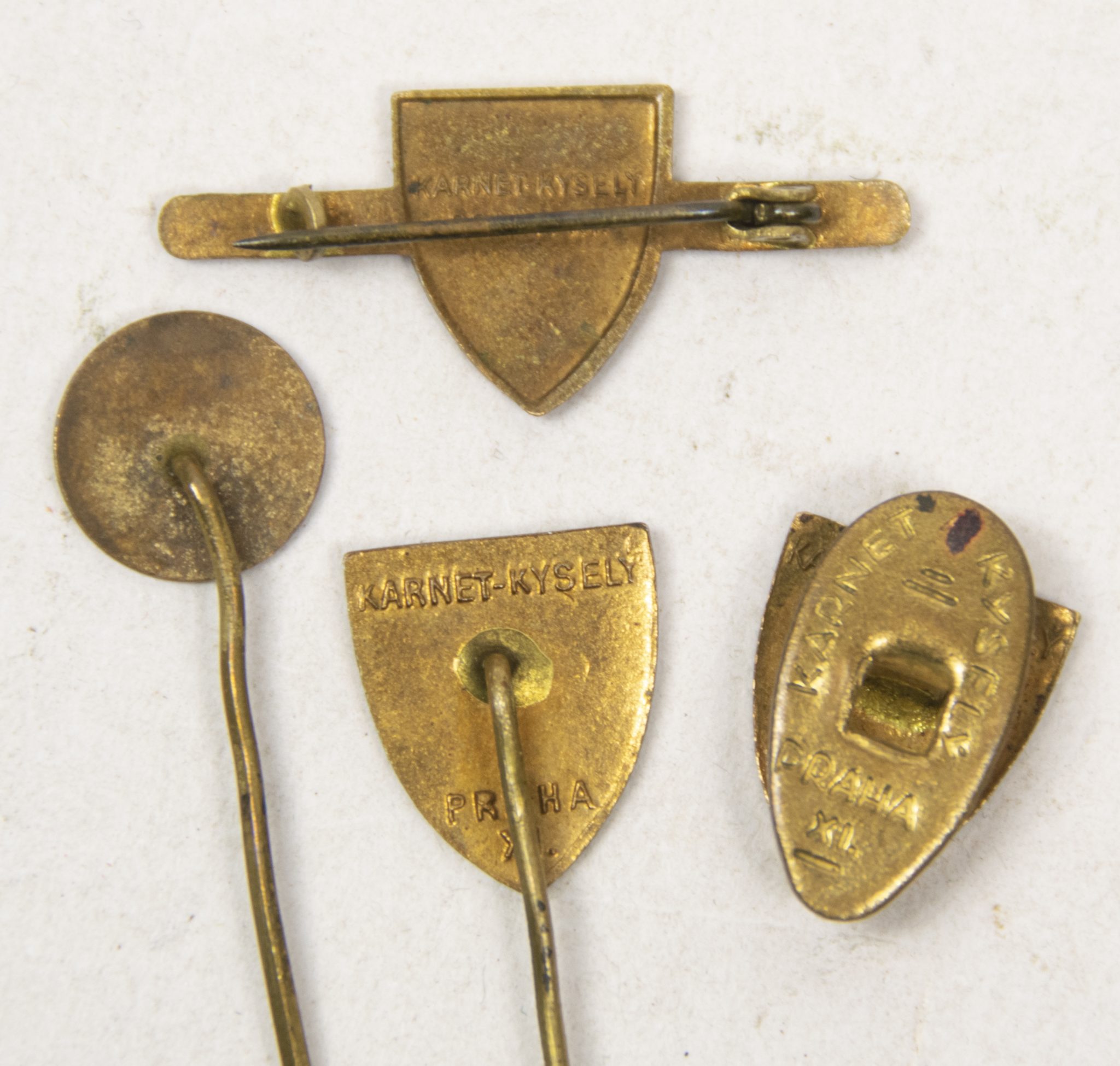 (Czech) NS Vlasti Zdar membership badges (4x) + Rodinna Kronika family book - rare