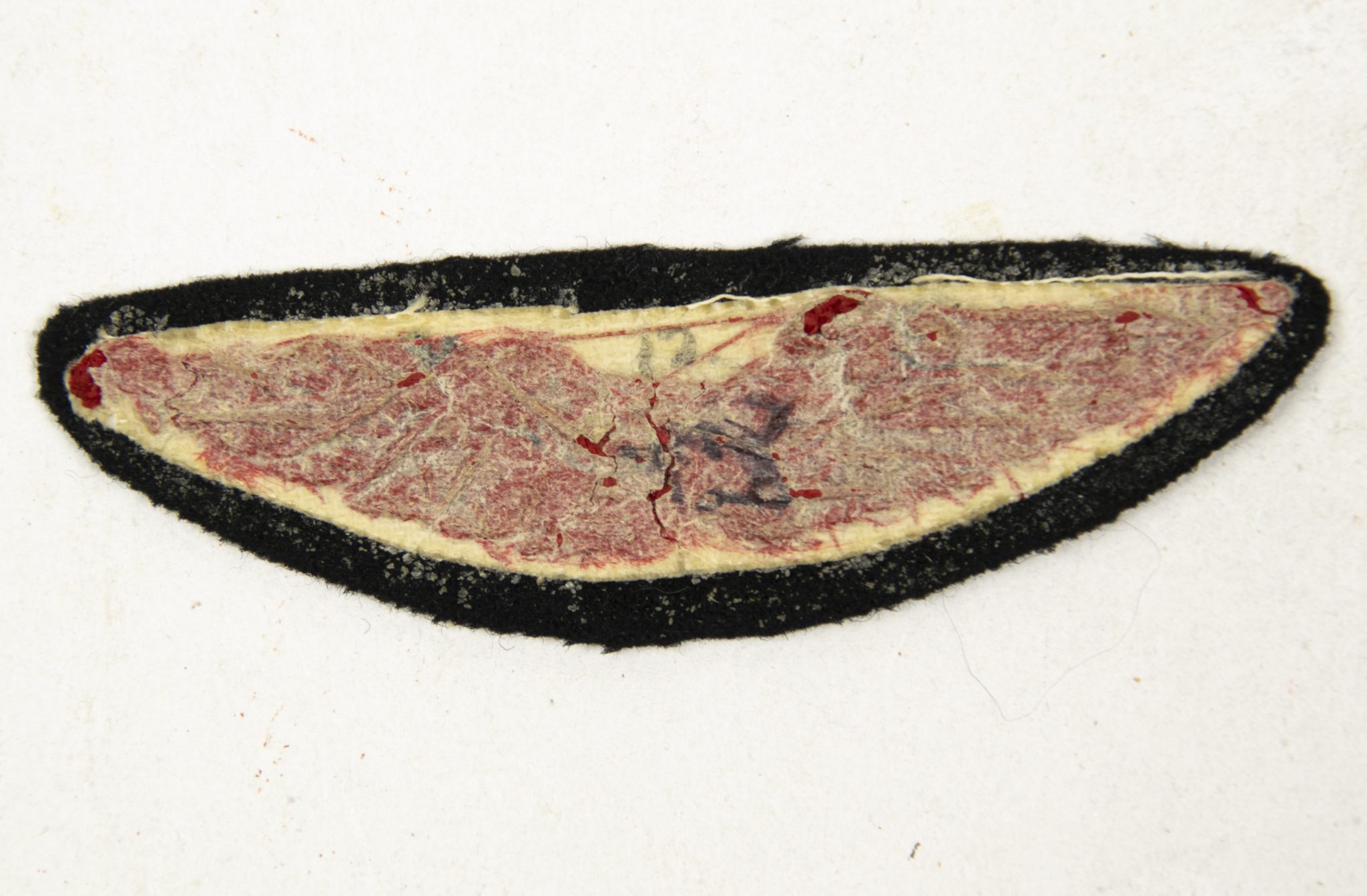 (NSB) WA Dienstonderscheidingsteken Luchtvaartafdeling (LUWA) (3) (NSB) WA Dienstonderscheidingsteken Luchtvaartafdeling (LUWA)