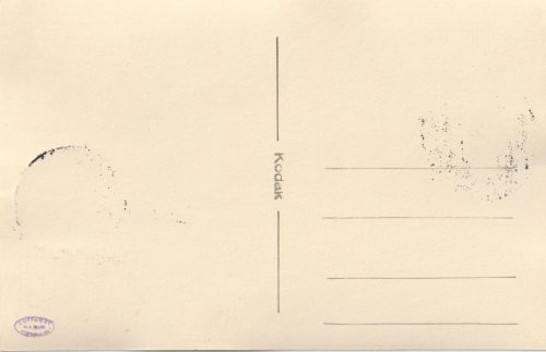 (Postcard) Nederlandsche Volksdienst (NVD) + first day stamp