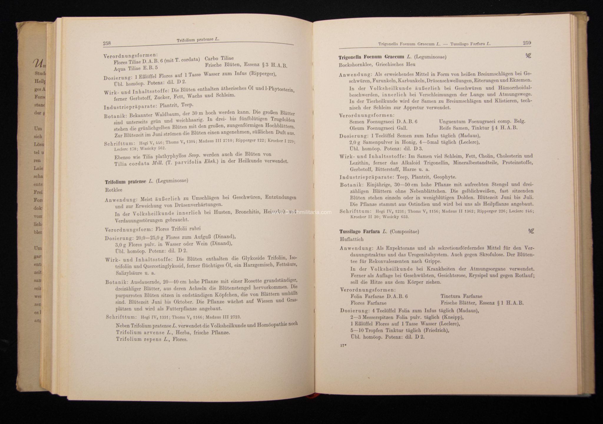 (Book) SS Der Kräutergarten + Dustjacket- Nordland Verlag (1940) - EXTREMELY RARE