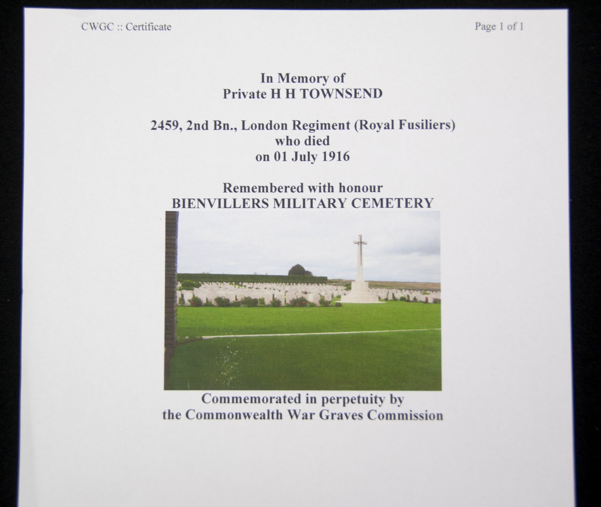 (British Army) First Day of the Somme 1 July 1916 - Victory medal of Private H. H. Townsend, 2459, 2nd Bn., London Regiment (Royal Fusiliers) - Image 12