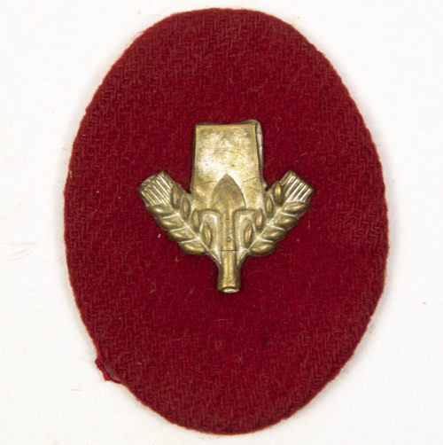 Freiwillige Arbeitsdienst (FAD) Cap badge
