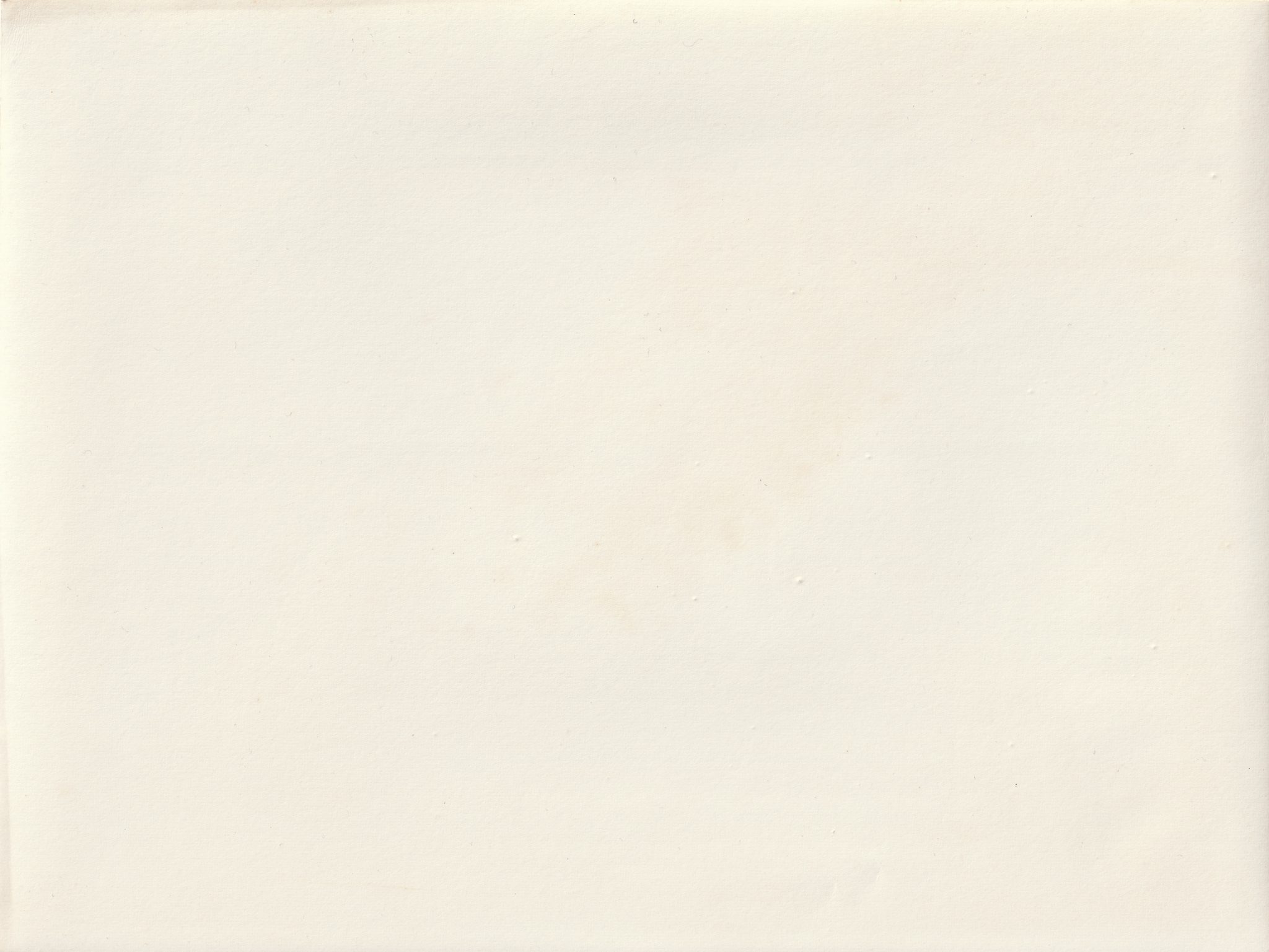 (Pressphoto) Der deutsche Prisenhof tagt (24x18cm) (2) (Pressphoto) Der deutsche Prisenhof tagt (24x18cm)