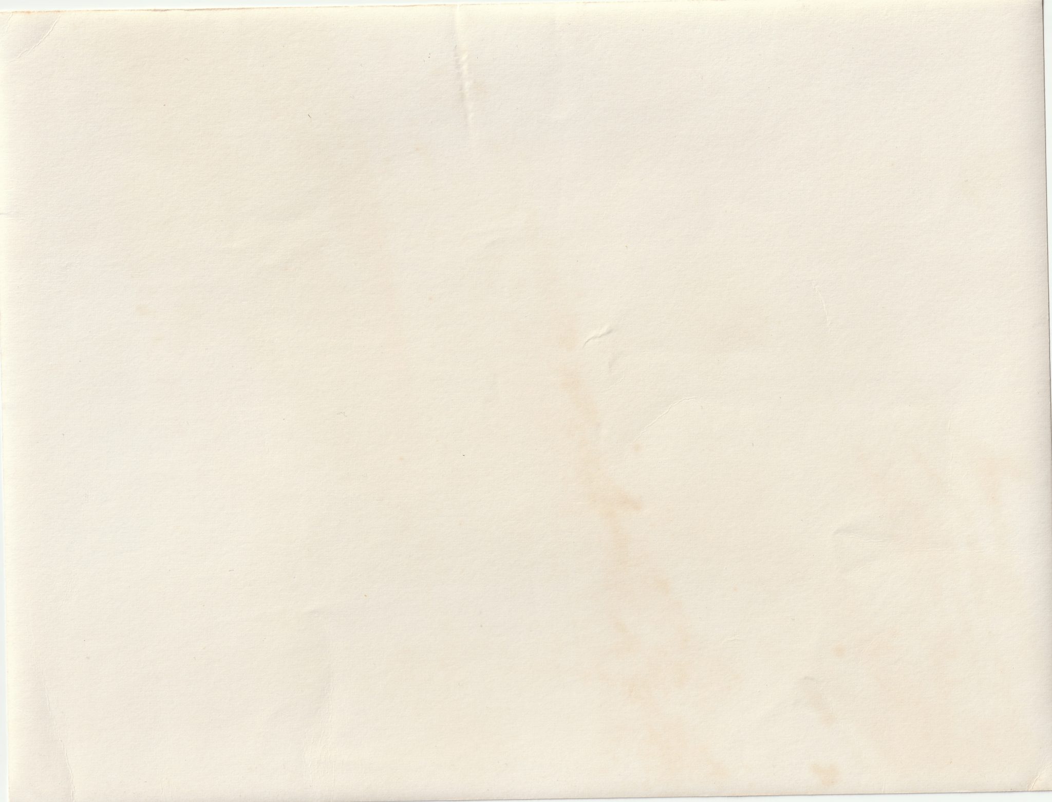 (Pressphoto) Von deutschem Jäger abgeschossene Polez 63 (24x18cm) (2) (Pressphoto) Von deutschem Jäger abgeschossene Polez 63 (24x18cm)