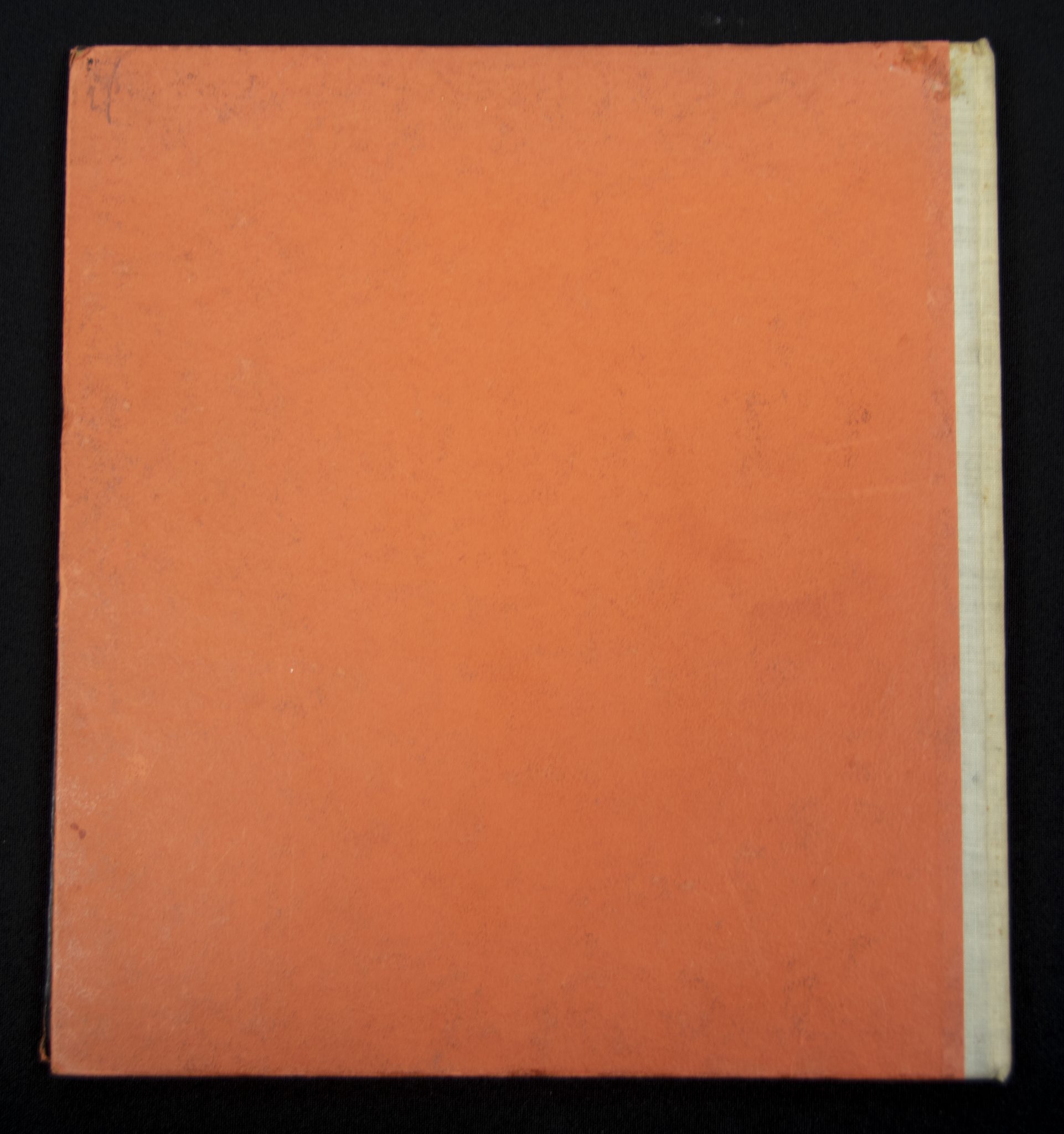 (Book) Dutch Waffen SS - In 't Verleden Ligt het Heden (1944) - with Mooyman photo - Image 17