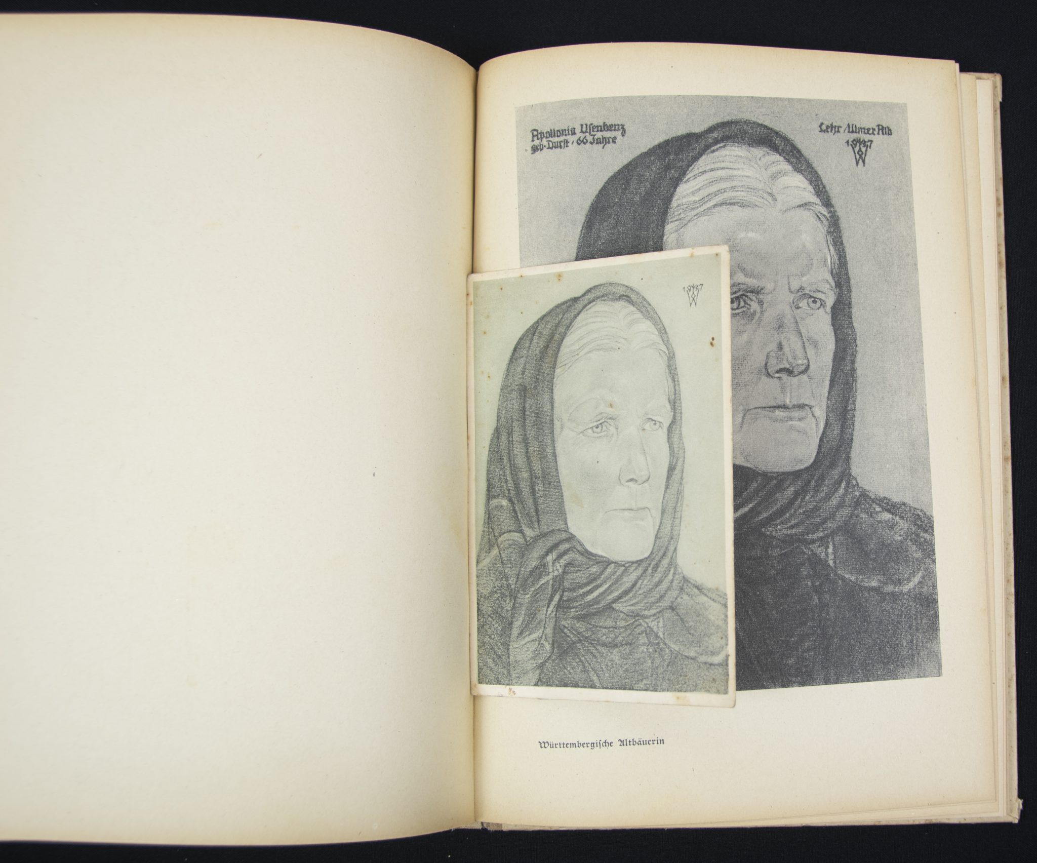 (Book) Wolfgang Willrich - Des Edlen Ewiges Reich + 11 Willrich postcards - Image 9