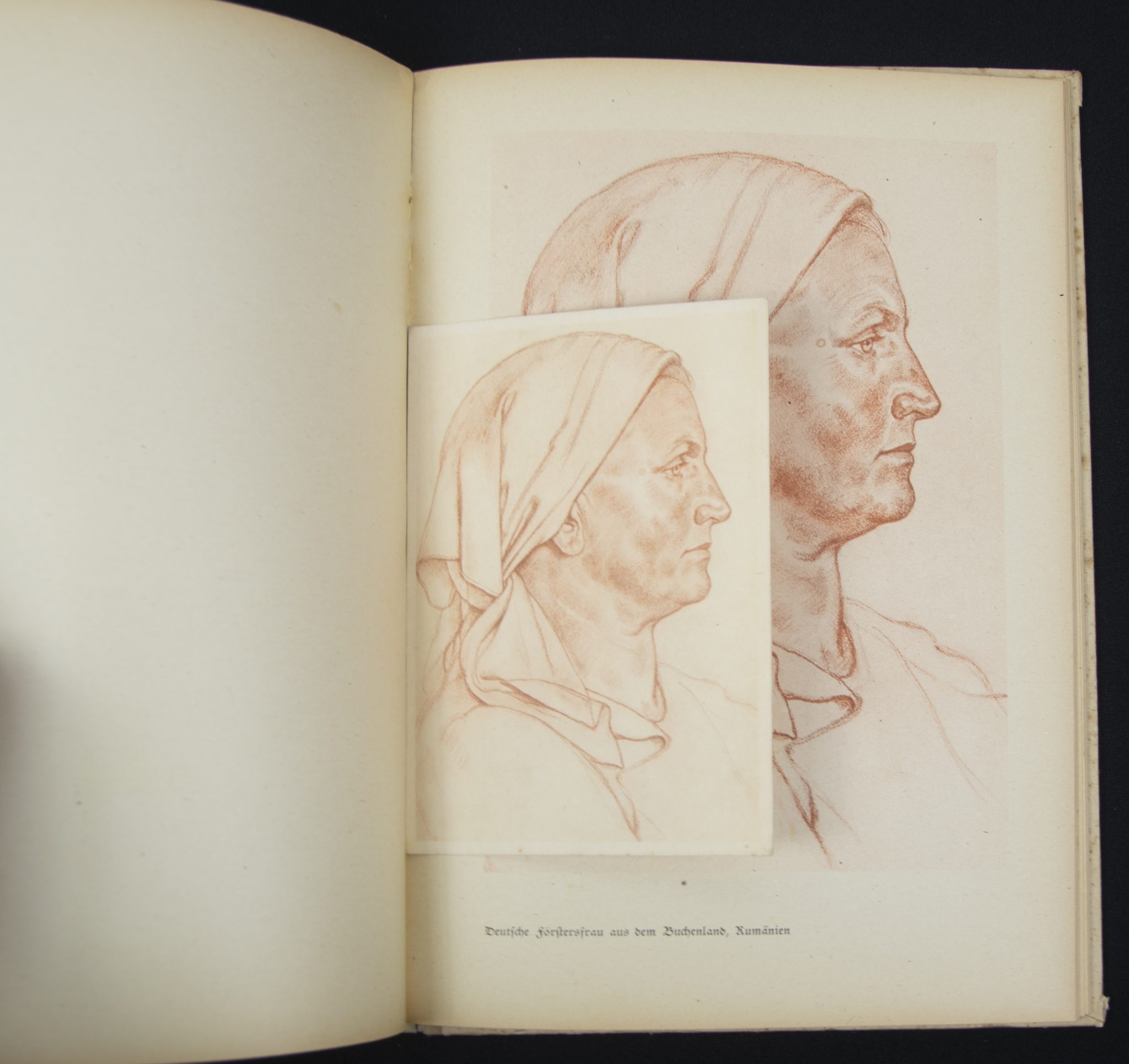 (Book) Wolfgang Willrich - Des Edlen Ewiges Reich + 11 Willrich postcards - Image 11