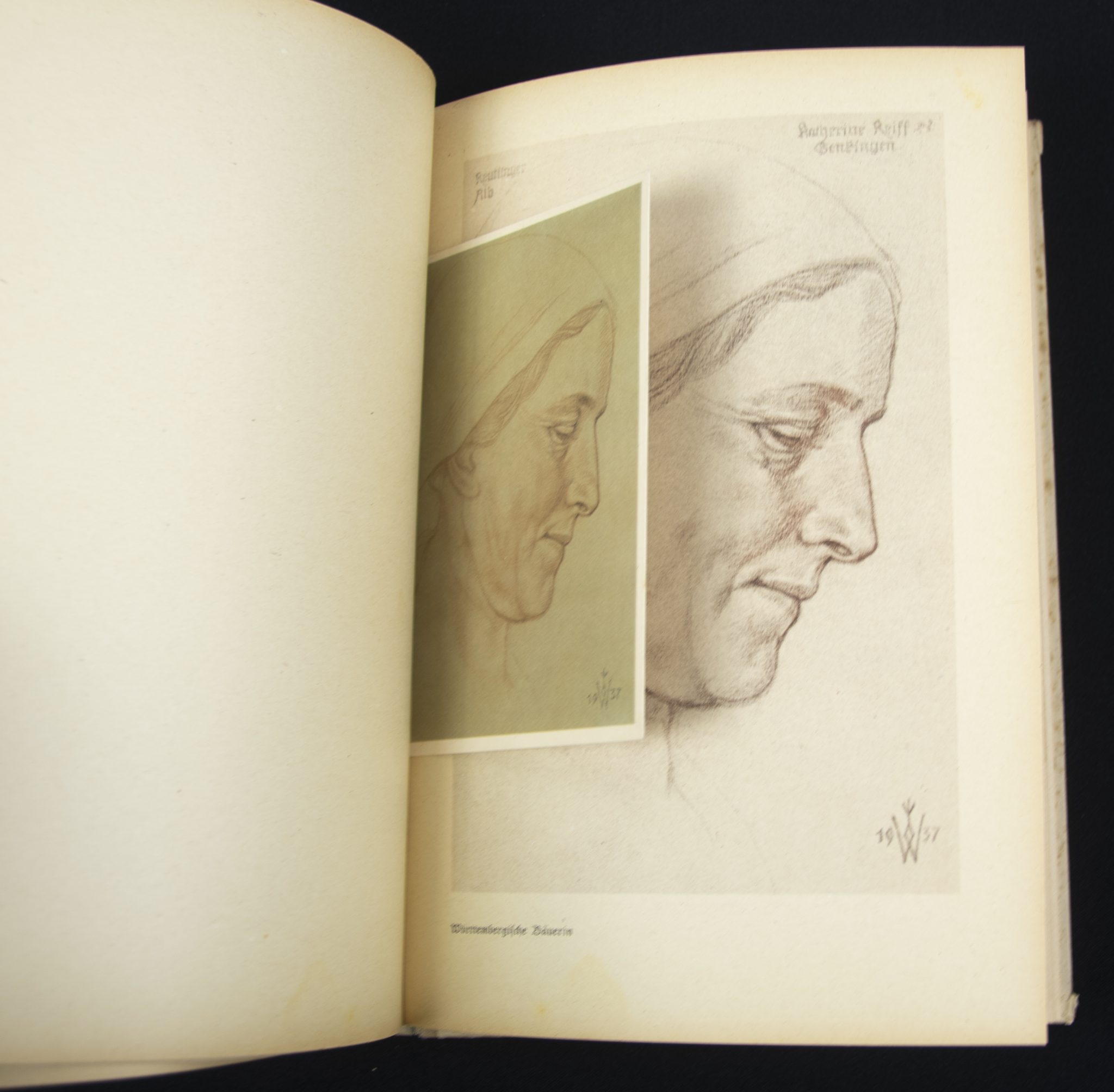 (Book) Wolfgang Willrich - Des Edlen Ewiges Reich + 11 Willrich postcards - Image 12