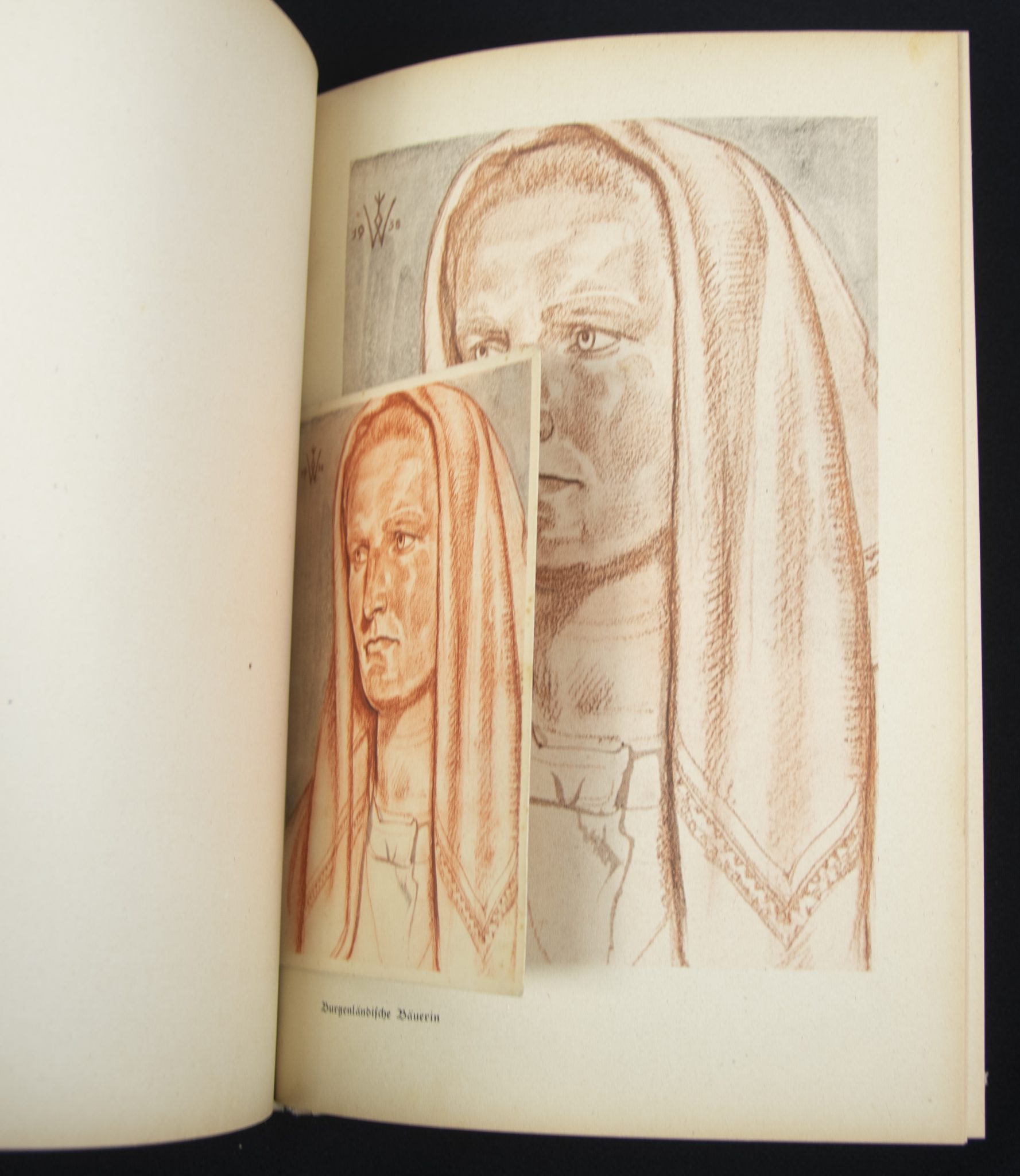 (Book) Wolfgang Willrich - Des Edlen Ewiges Reich + 11 Willrich postcards - Image 13