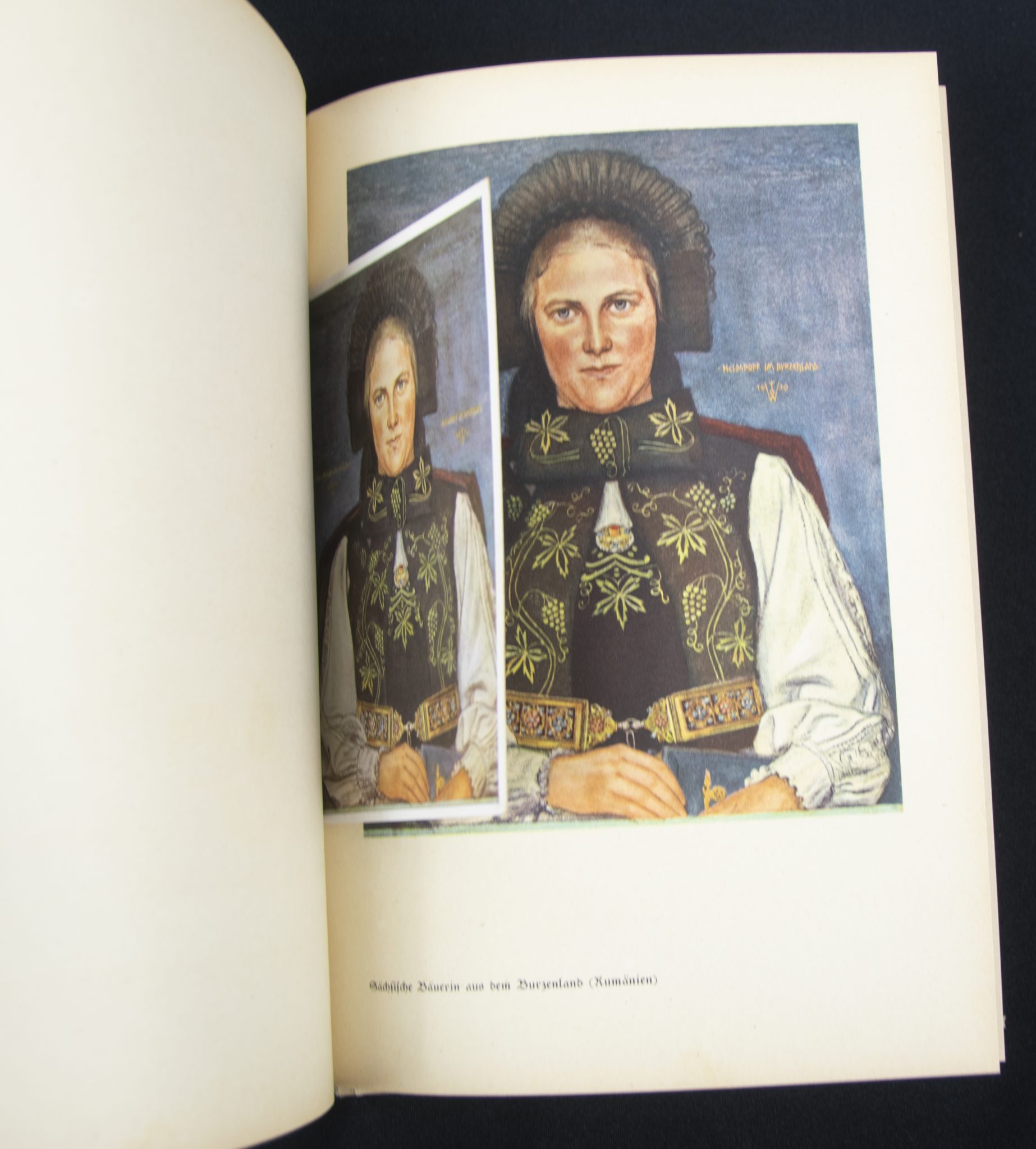 (Book) Wolfgang Willrich - Des Edlen Ewiges Reich + 11 Willrich postcards - Image 15