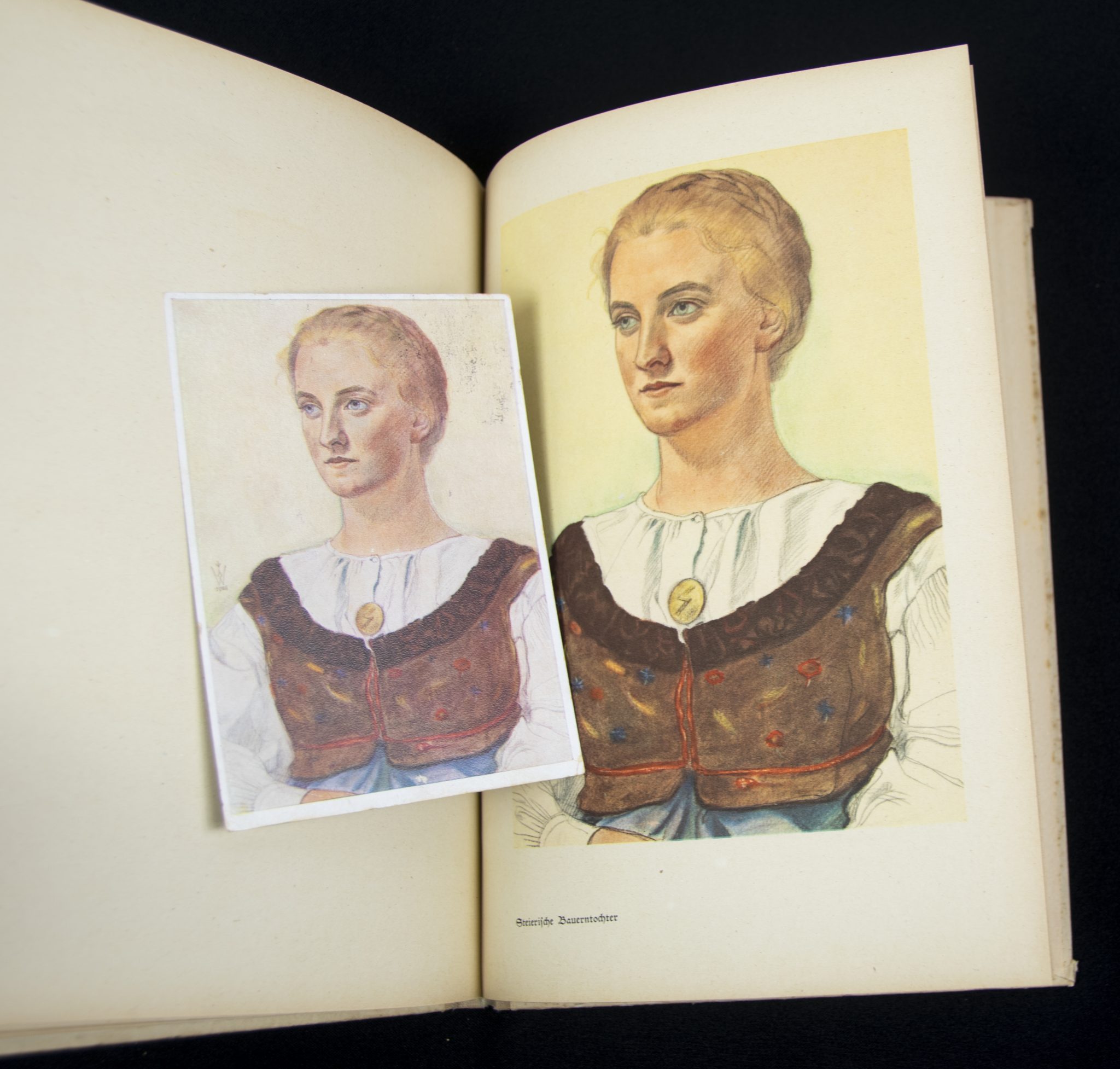 (Book) Wolfgang Willrich - Des Edlen Ewiges Reich + 11 Willrich postcards - Image 16