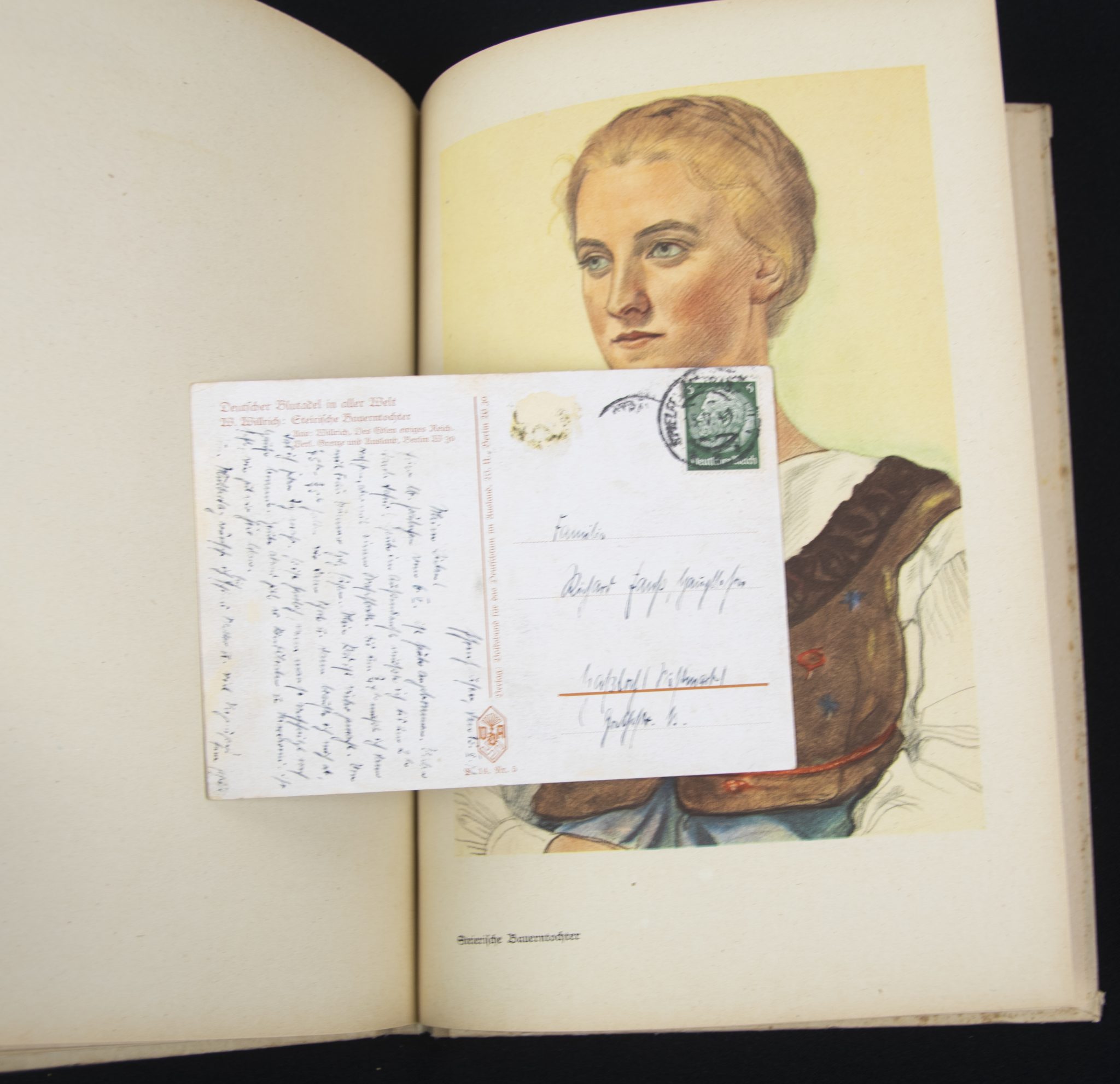 (Book) Wolfgang Willrich - Des Edlen Ewiges Reich + 11 Willrich postcards - Image 17