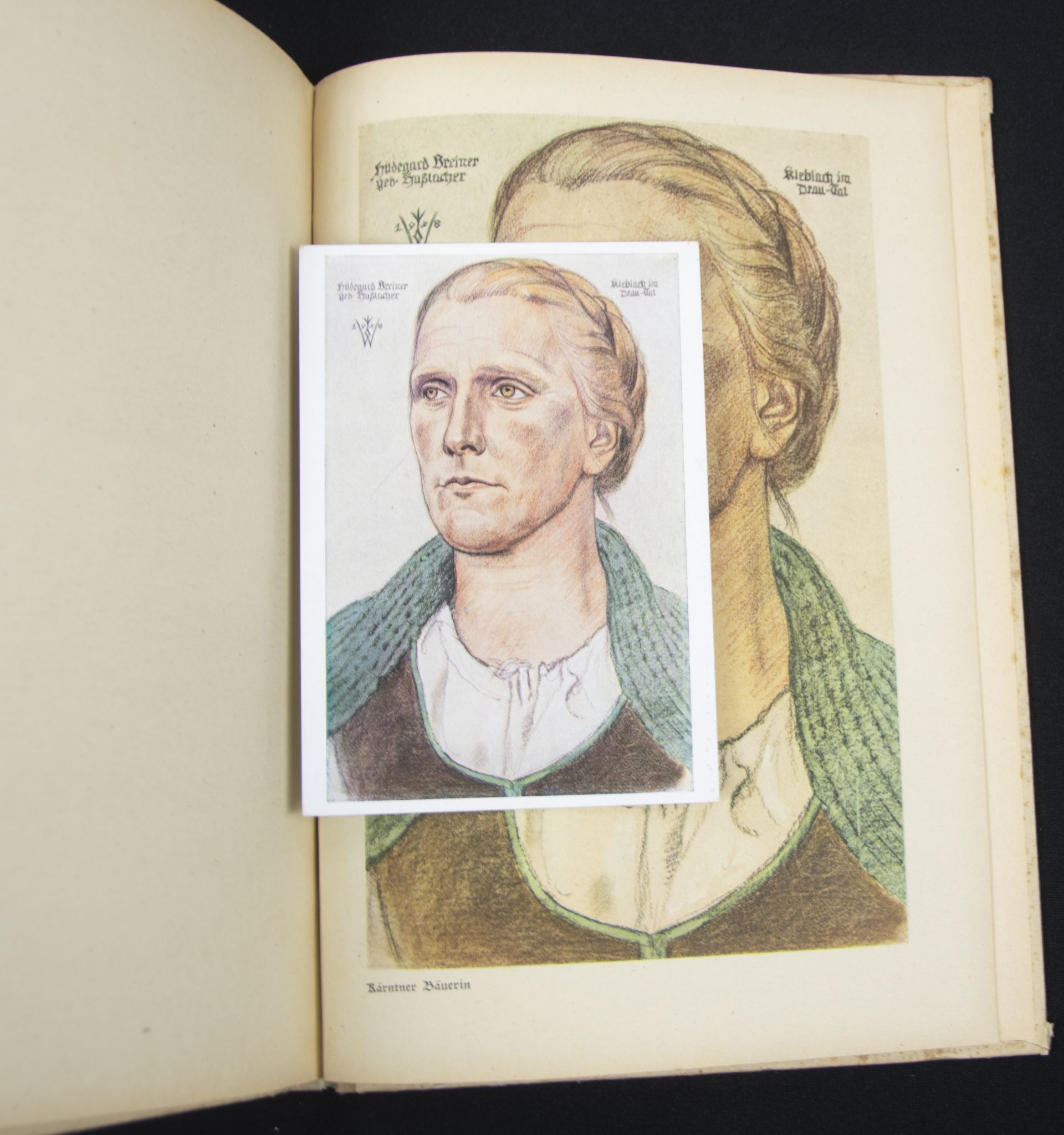 (Book) Wolfgang Willrich - Des Edlen Ewiges Reich + 11 Willrich postcards - Image 18