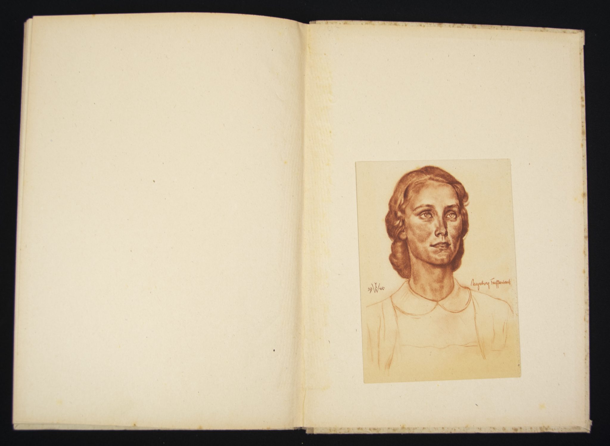 (Book) Wolfgang Willrich - Des Edlen Ewiges Reich + 11 Willrich postcards - Image 19