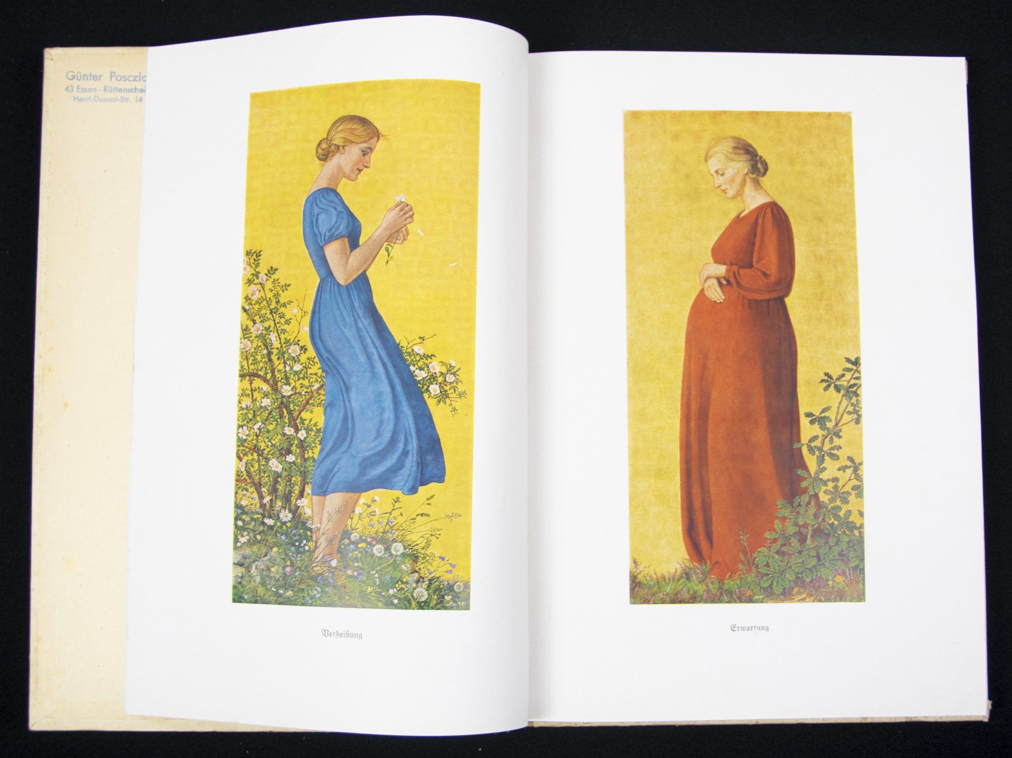 (Book) Wolfgang Willrich - Des Edlen Ewiges Reich + 11 Willrich postcards - Image 5