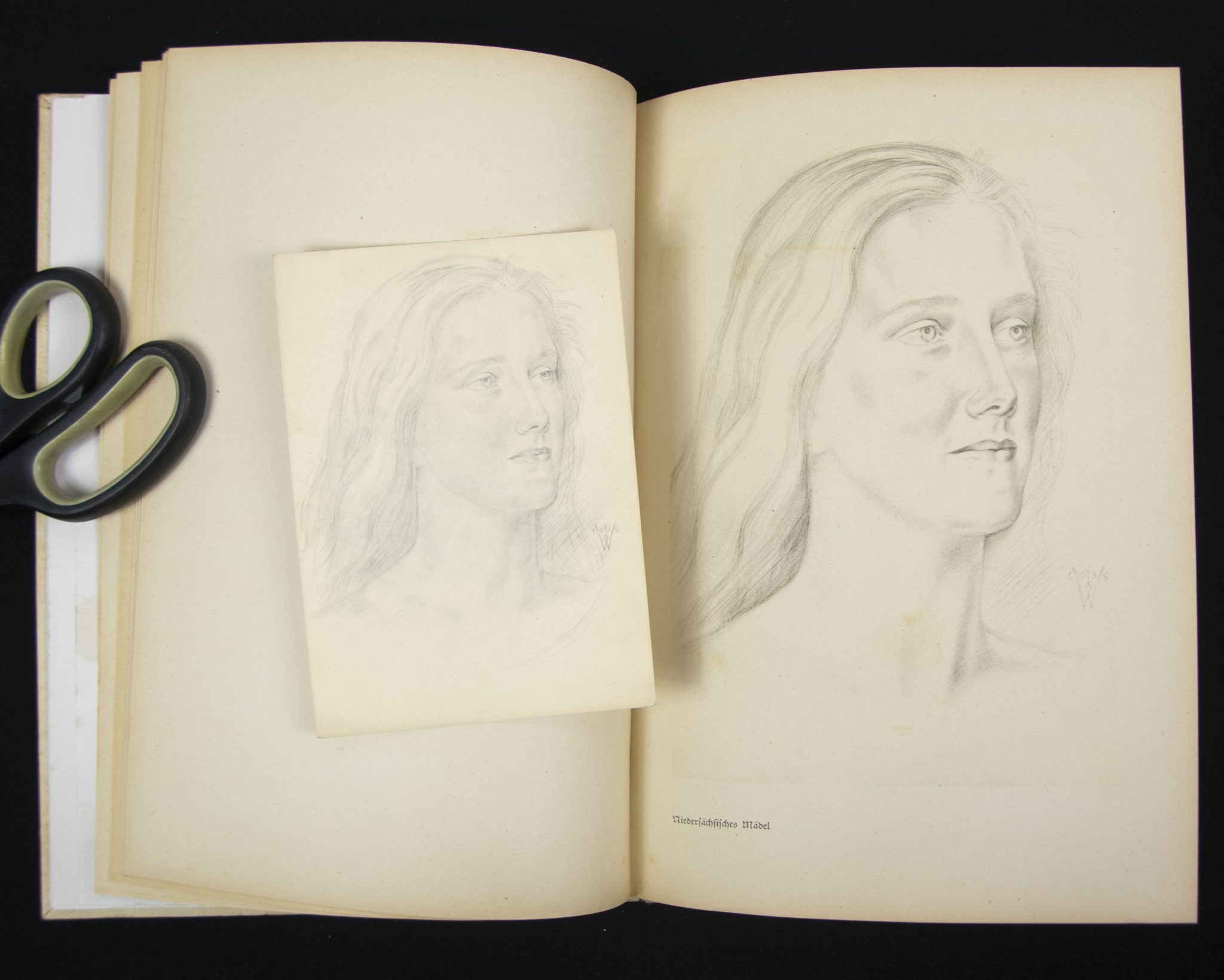 (Book) Wolfgang Willrich - Des Edlen Ewiges Reich + 11 Willrich postcards - Image 6