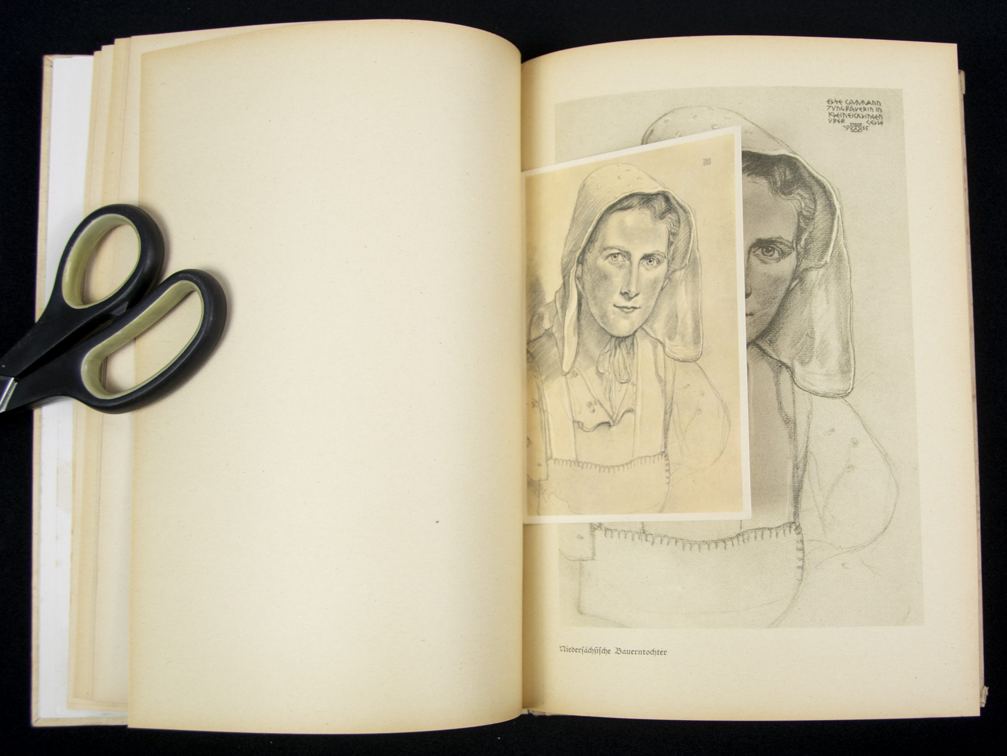 (Book) Wolfgang Willrich - Des Edlen Ewiges Reich + 11 Willrich postcards - Image 7