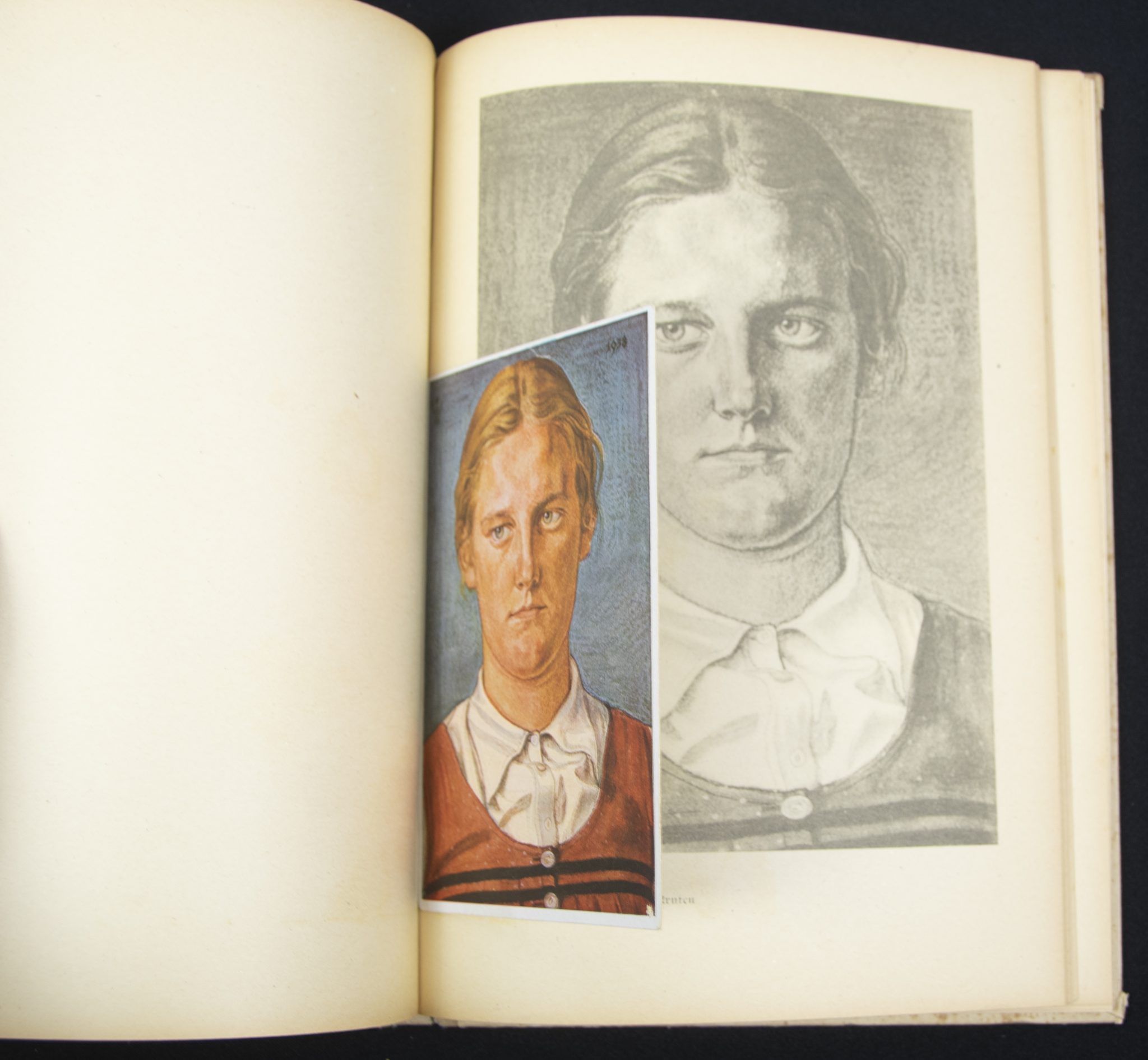 (Book) Wolfgang Willrich - Des Edlen Ewiges Reich + 11 Willrich postcards - Image 8