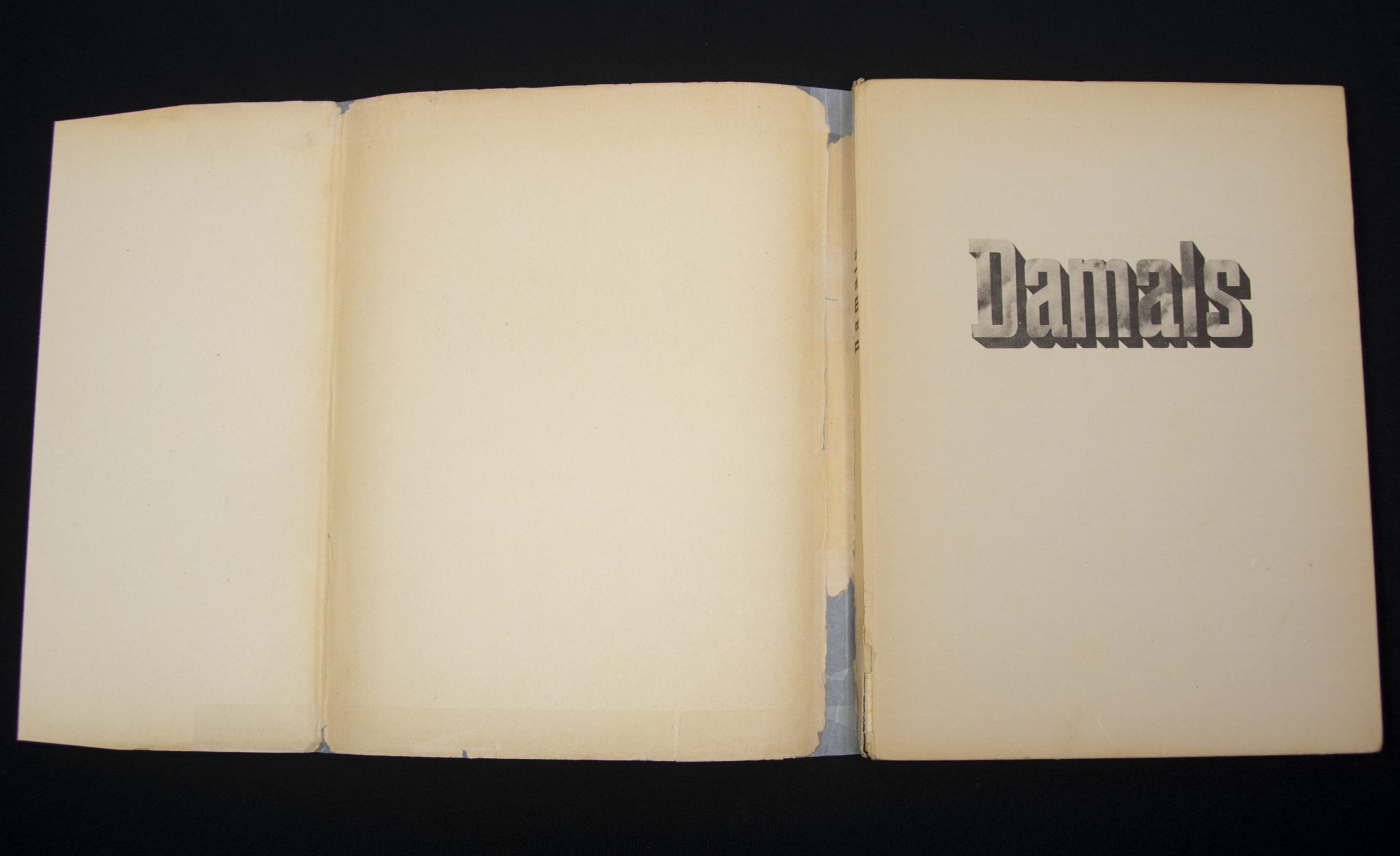 (Book) Damals - Erinnerungen an grosse Tage der SS-Totenkopf-Division im französischen Feldzug - with SS dedication (1940) - Image 8