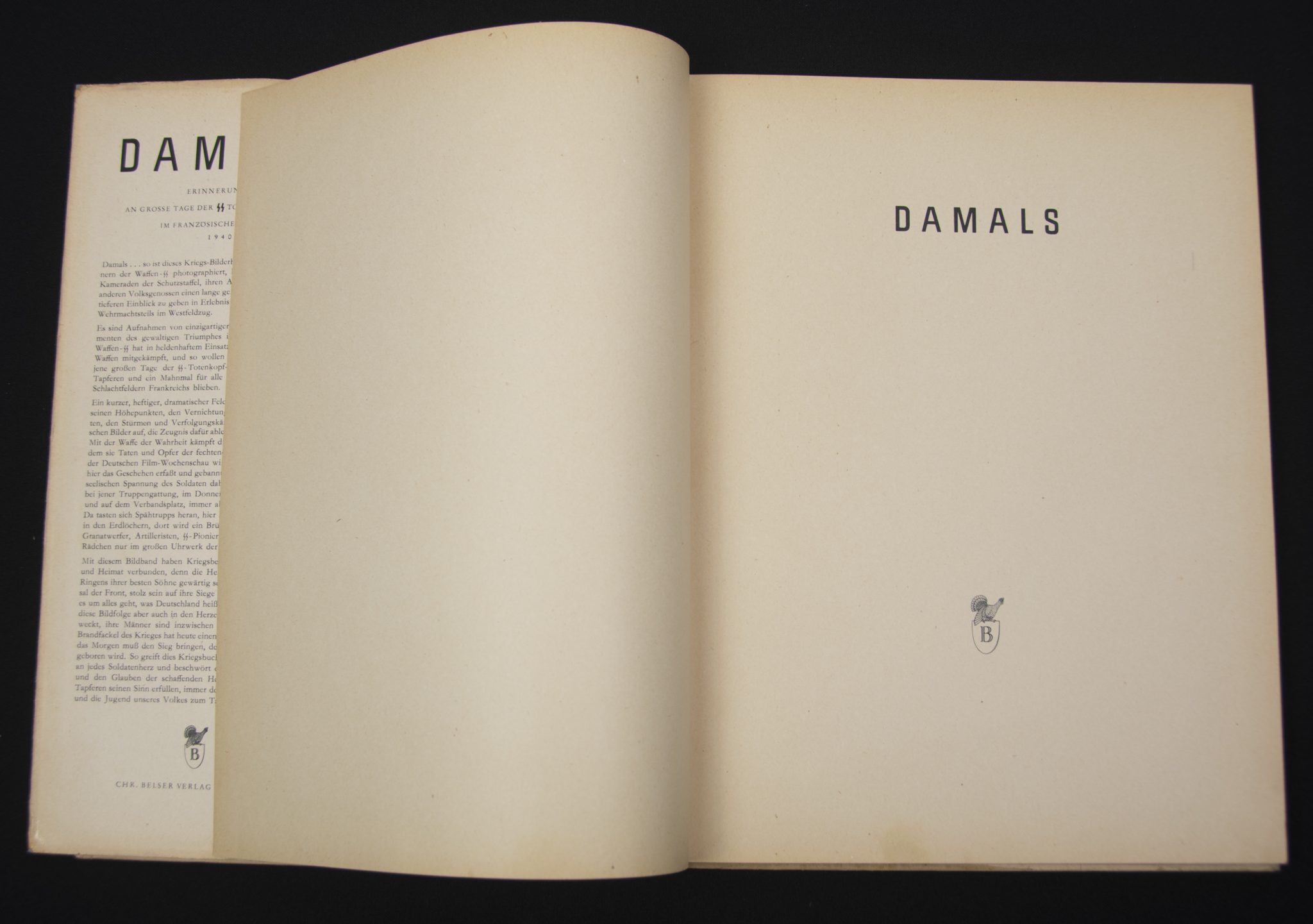 (Book) Damals - Erinnerungen an grosse Tage der SS-Totenkopf-Division im französischen Feldzug - with SS dedication (1940) - Image 9