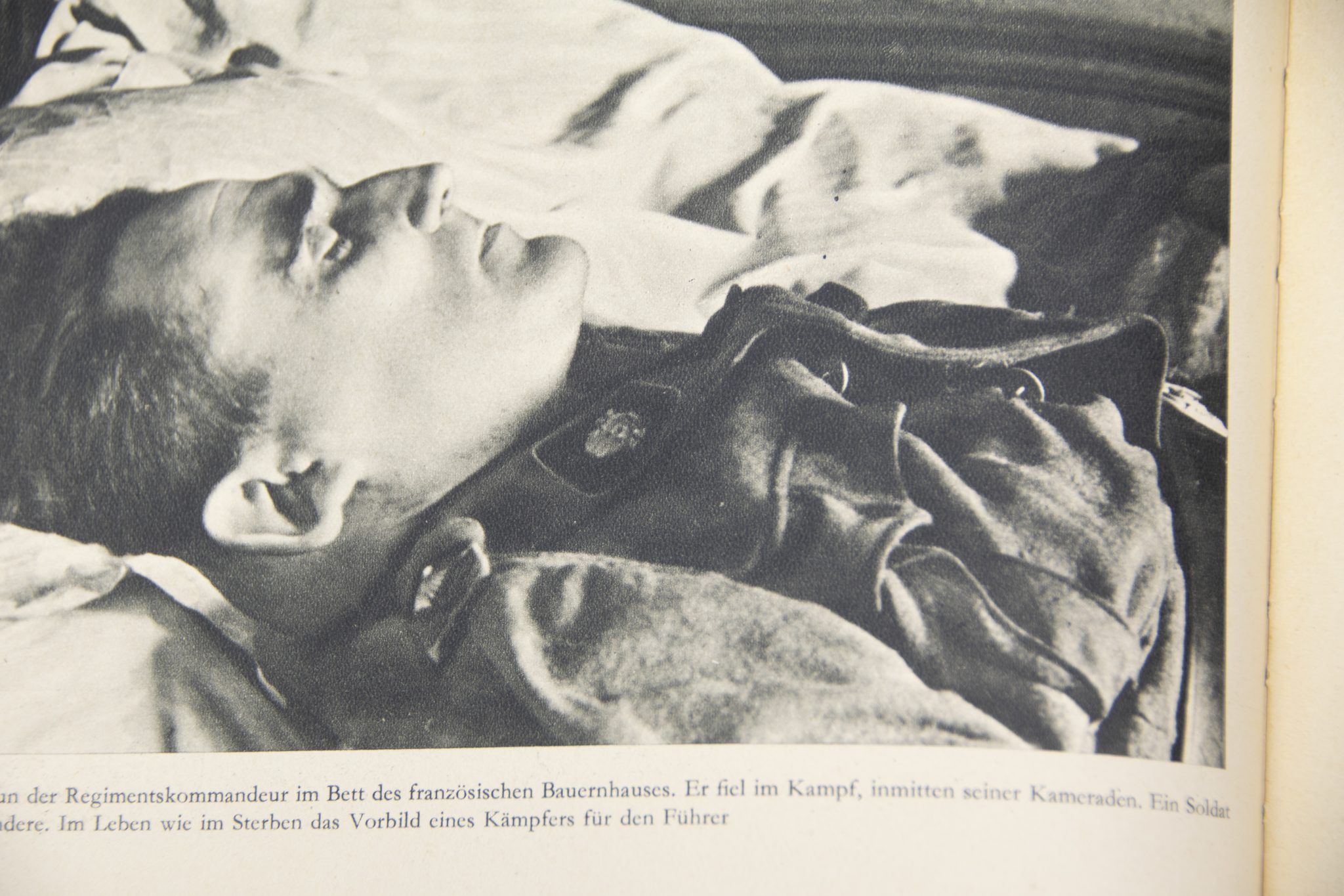 (Book) Damals - Erinnerungen an grosse Tage der SS-Totenkopf-Division im französischen Feldzug - with SS dedication (1940) - Image 16