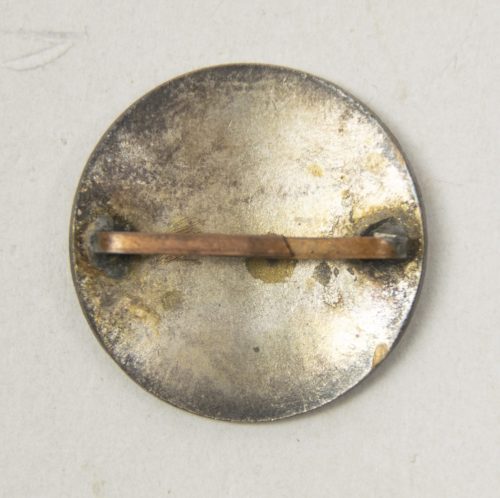 D.N.S.A.P. Storm Afdeling