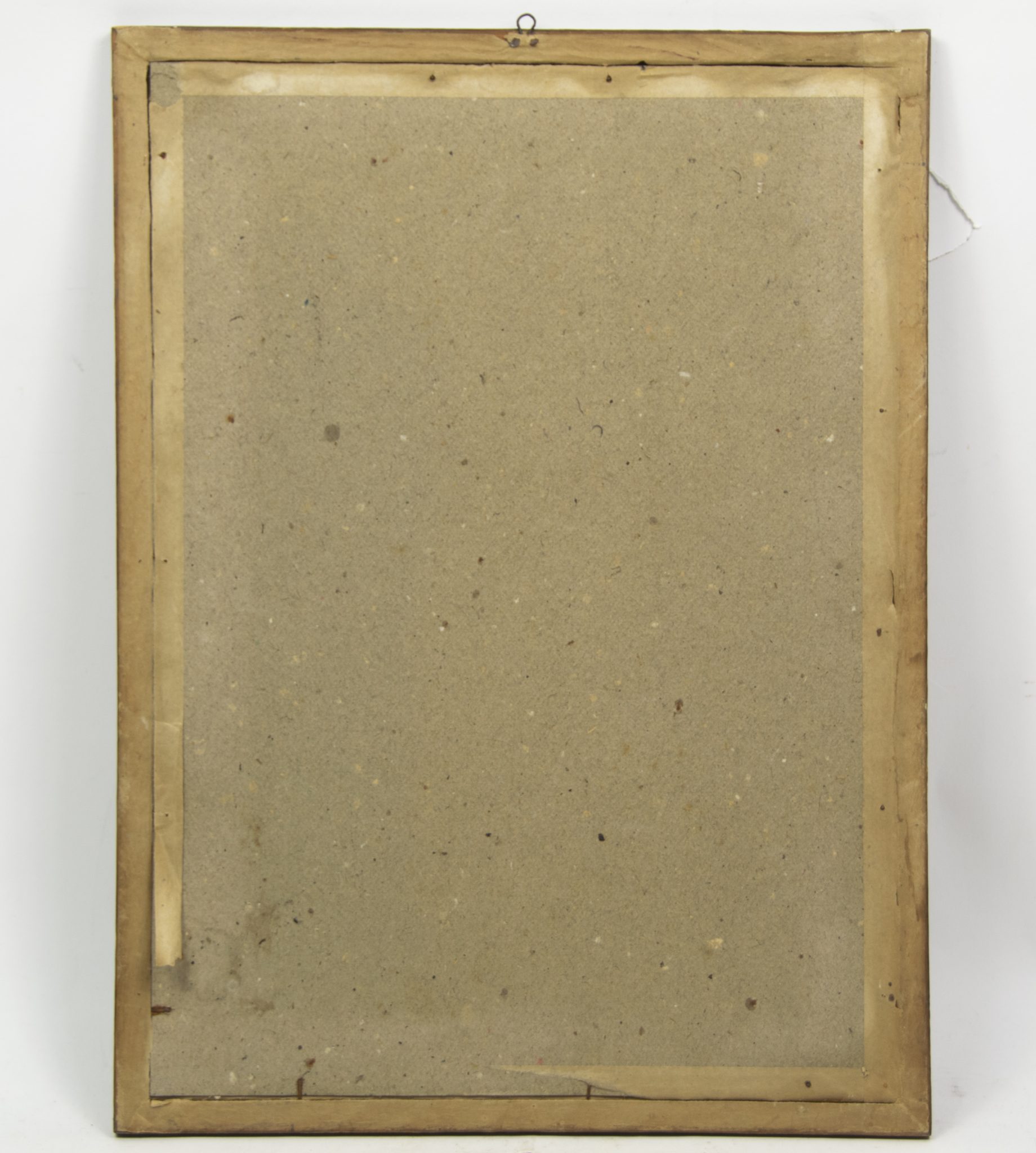 Panzer Framed colorphoto portrait (14)