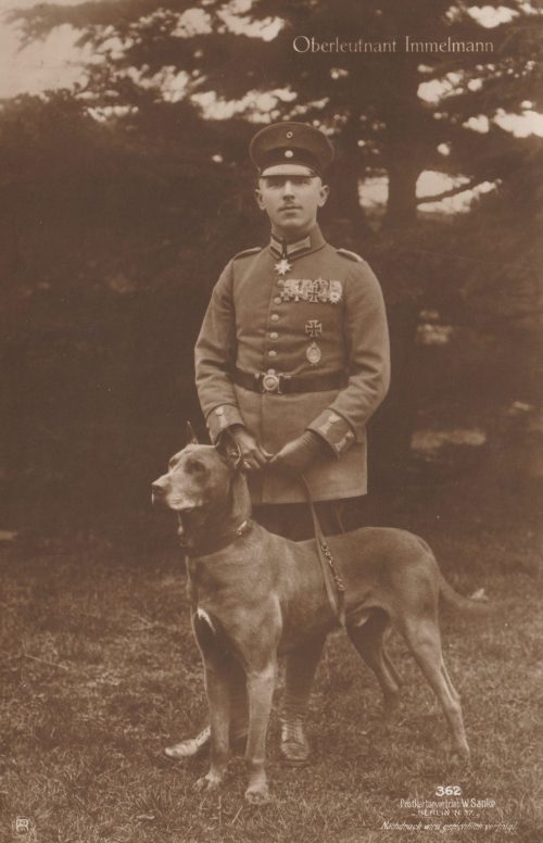 (Postcard) Sanke #362 Oberleutnant Immelmann