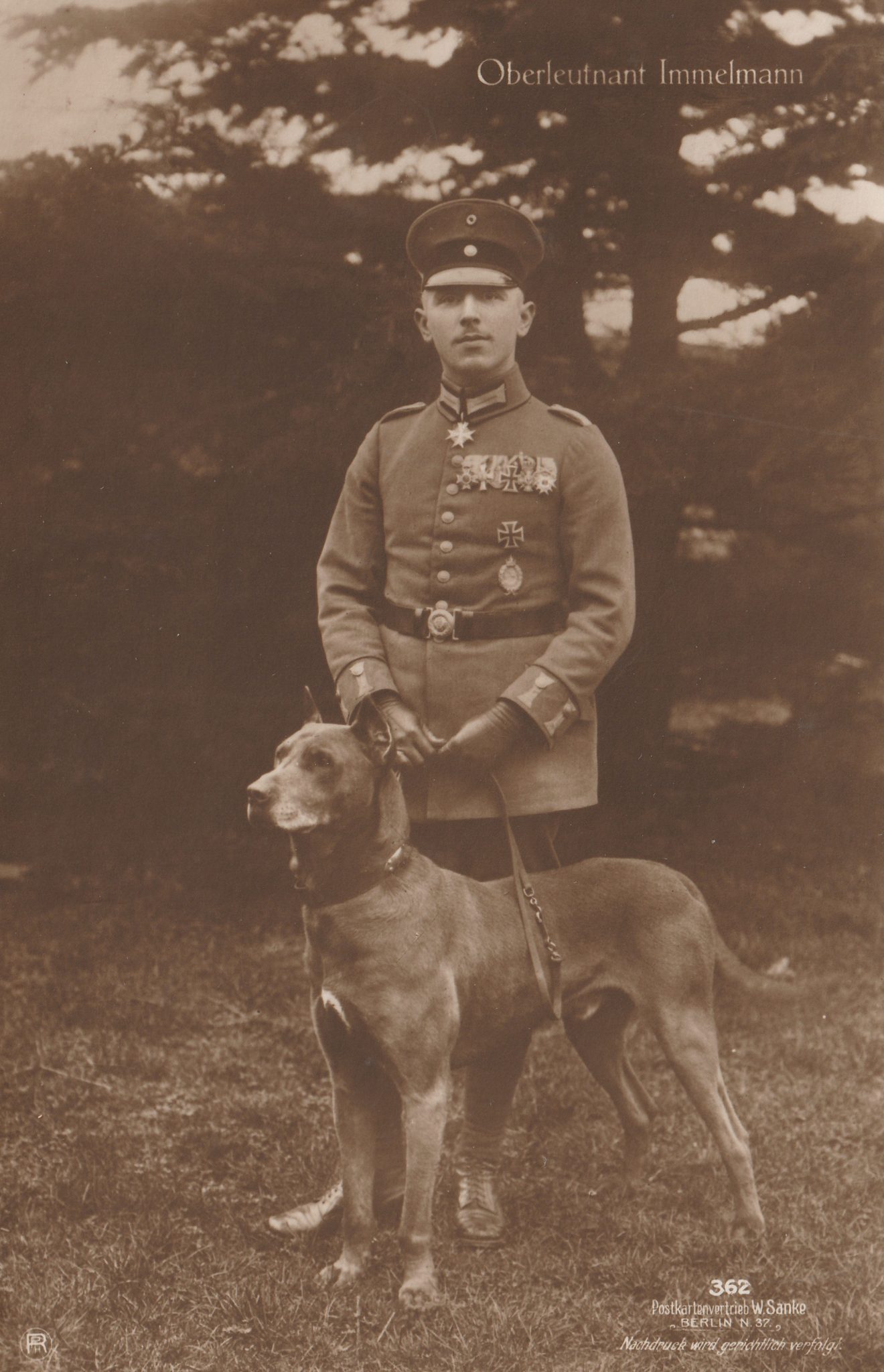 (Postcard) Sanke #362 Oberleutnant Immelmann