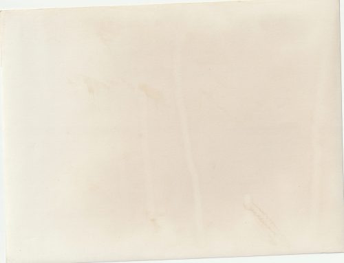 (Pressphoto) 1200 Jungfaschisten in Berlin (24x18cm)