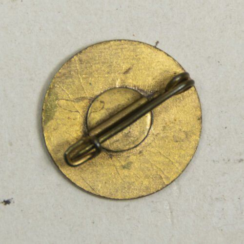 (NSB) Jeugdstorm memberbadge