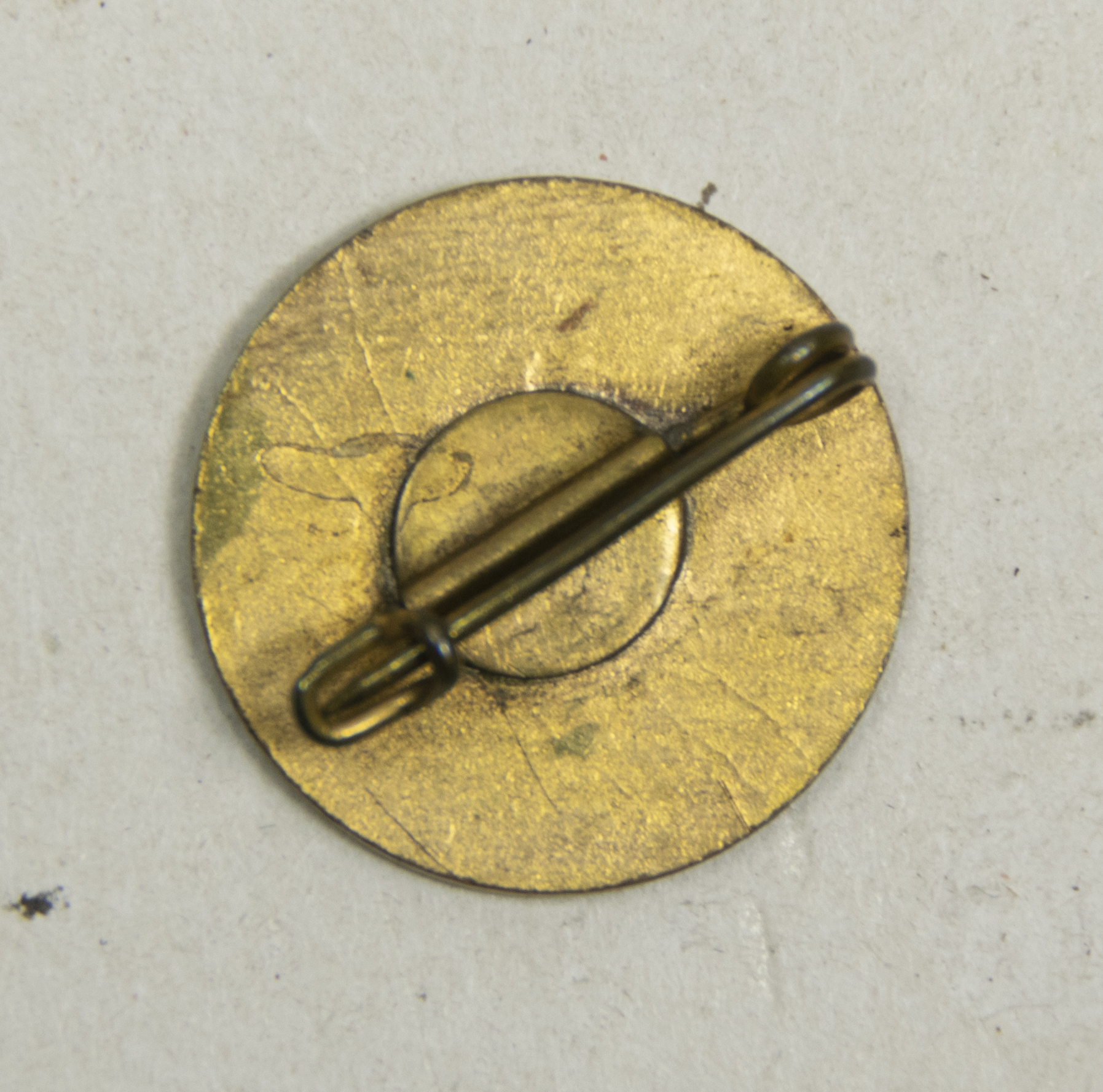 (NSB) Jeugdstorm memberbadge