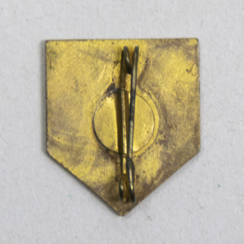 (NSB) Jeugdstorm memberbadge - first model