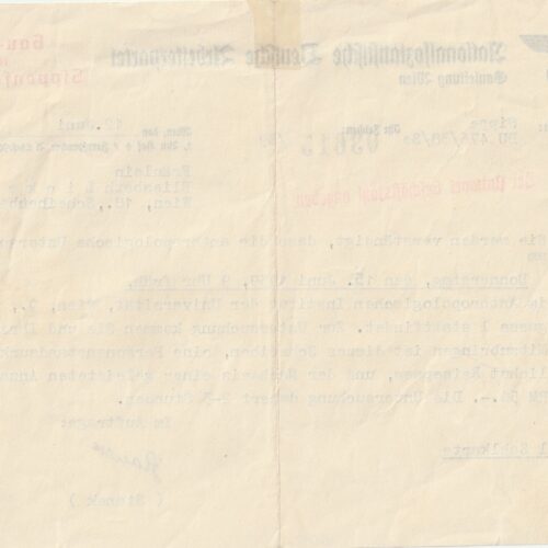 (Document) NSDAP Gauleitung Wien - Anthropologische Untersuchung (1939)