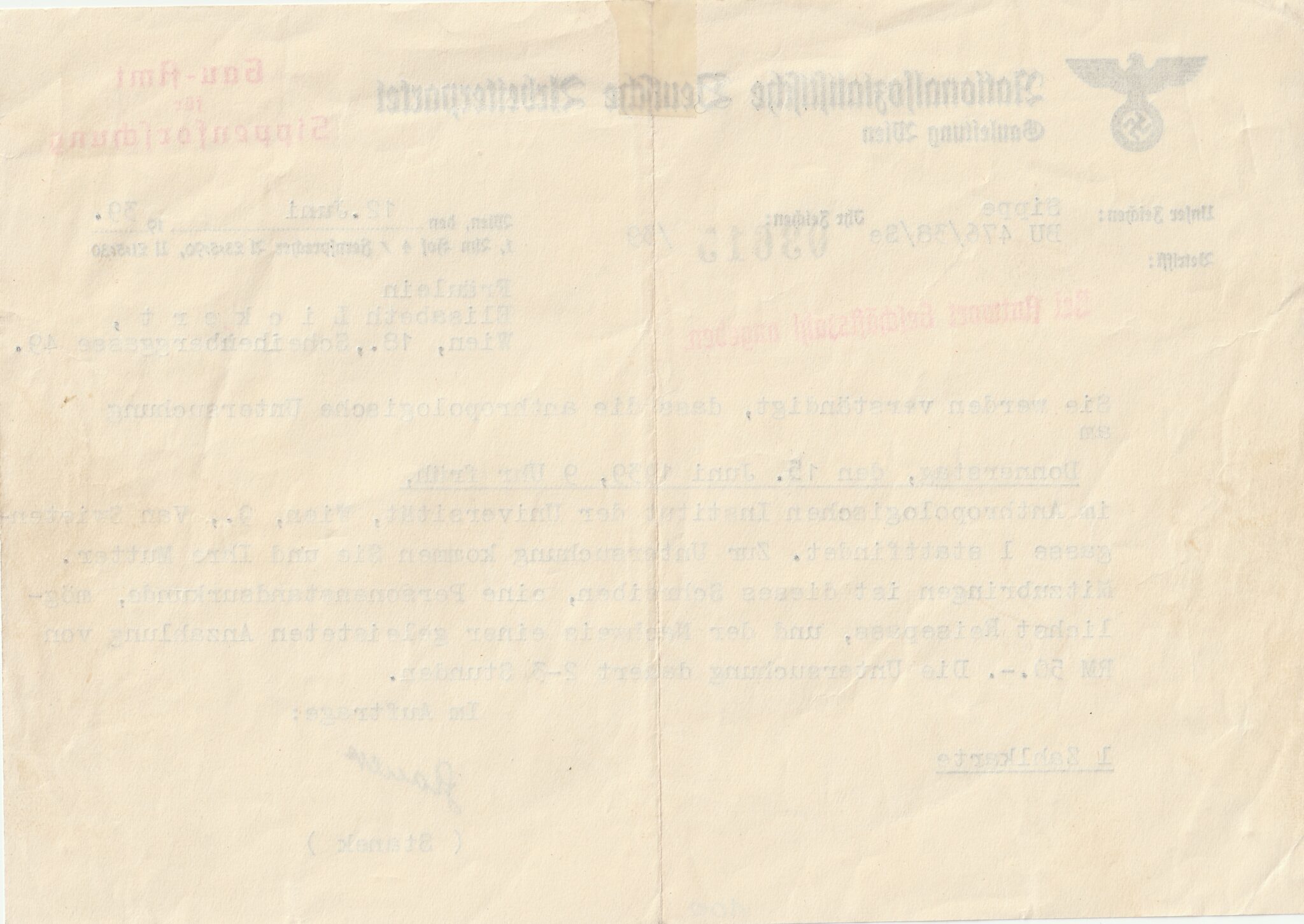 (Document) NSDAP Gauleitung Wien - Anthropologische Untersuchung (1939)