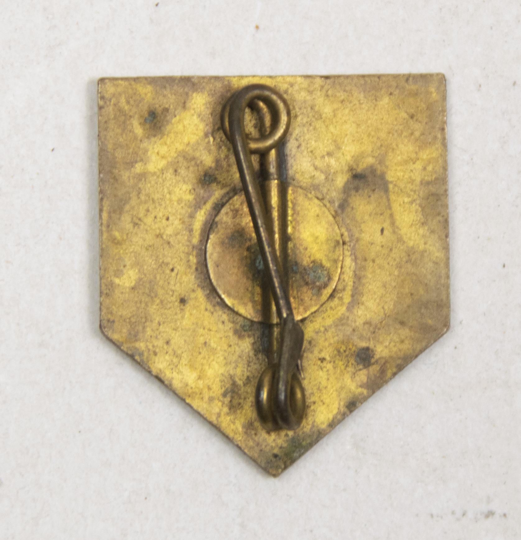 (NSB) Jeugdstorm memberbadge - first model