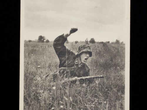 (Postcard) - Unsere Waffen-SS Mir Nach!
