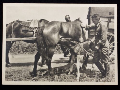 (Postcard) Waffen-SS Auch ein Kriegskind
