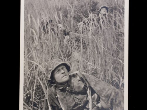 (Postcard) Waffen-SS Fliegerdeckung