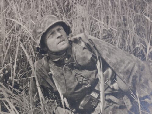 (Postcard) Waffen-SS Fliegerdeckung