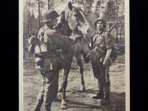 (Postcard) Waffen-SS Gute Freunde
