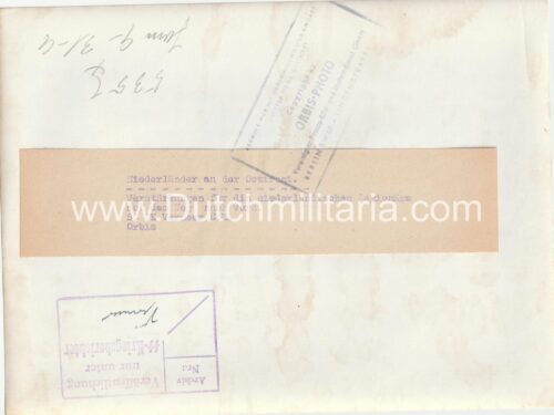 (Pressphoto SS) Niederländer an der Ostfront