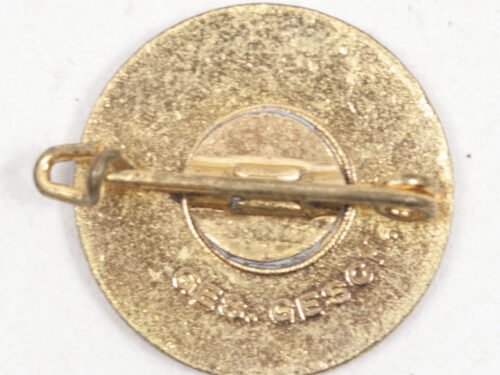 Reichsbund-der-Korperbehinderten-RDK-memberbadge