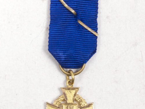 Treue Dienst 40 Jahre Kreuz Miniature medal - Rare