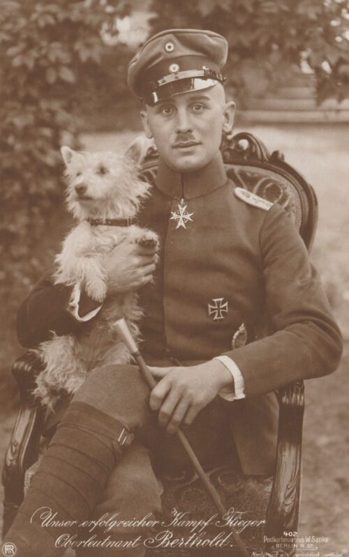 (Postcard) Sanke #402 - Unser erfolgreicher Kampfflieger Oberleutnant Berthold
