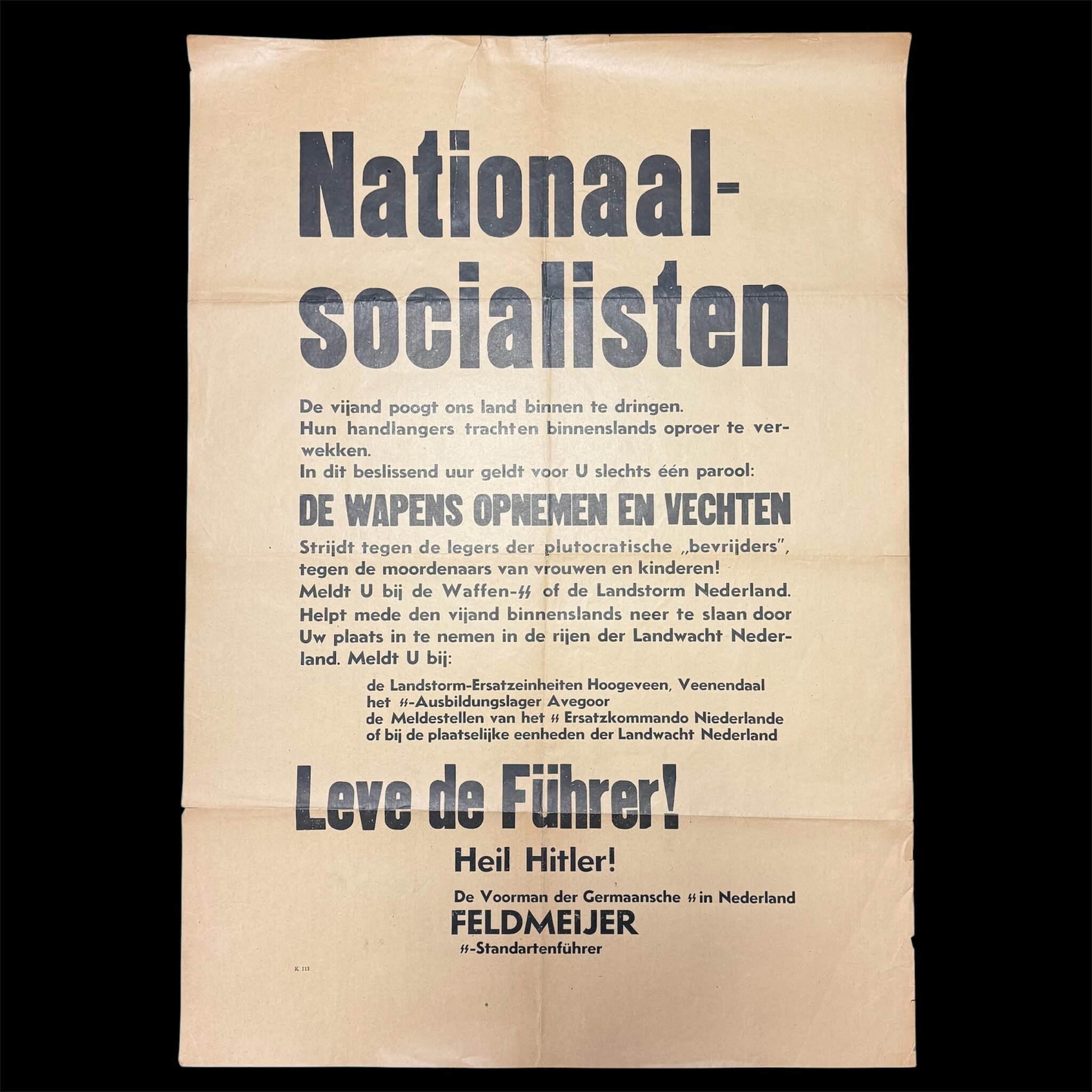 (Poster) Waffen-SS Germaansche-SS Landstorm Nederland - rare