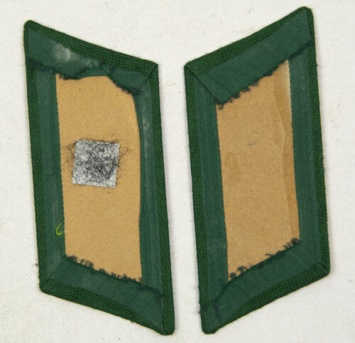 Reichsfinanzverwaltung Zollgrenzschutz pair of collar tabs Zollanwärter