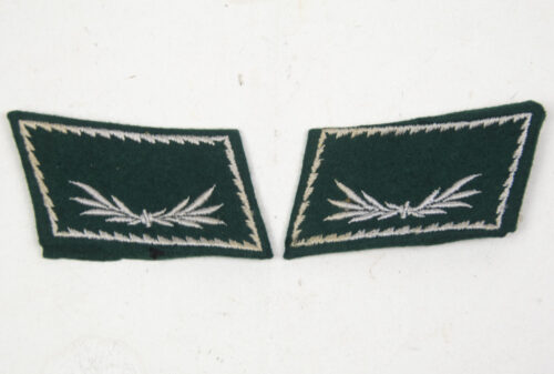 Reichsfinanzverwaltung Zollgrenzschutz pair of collar tabs Zollbetriebsassistent